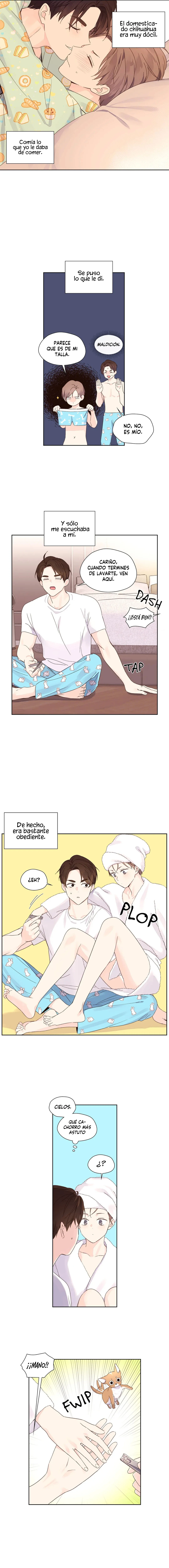 Página 5 — Amante de 4 Semanas Capítulo 51