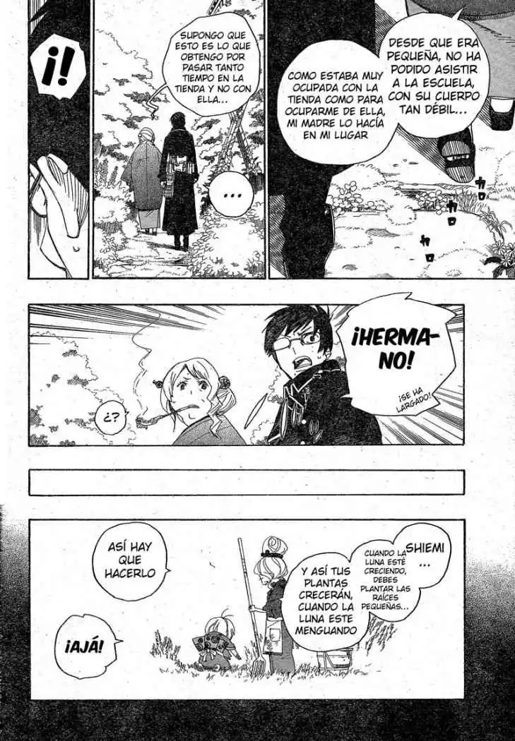 Página 29 — Capítulo 3 de Ao no Exorcist