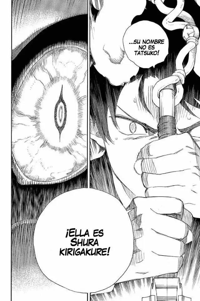 Página 29 — Capítulo 79 de Ao no Exorcist