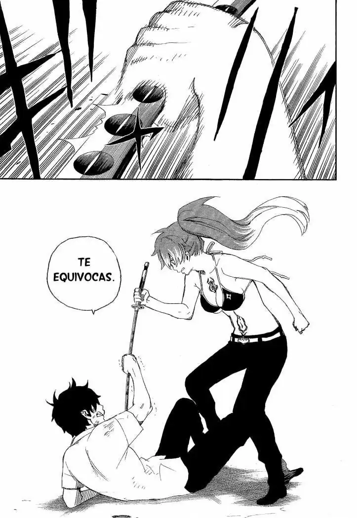 Página 29 — Capítulo 10 de Ao no Exorcist