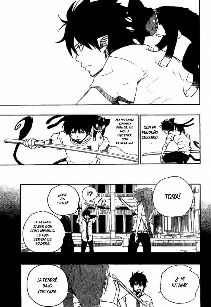 Página 12 — Capítulo 11 de Ao no Exorcist
