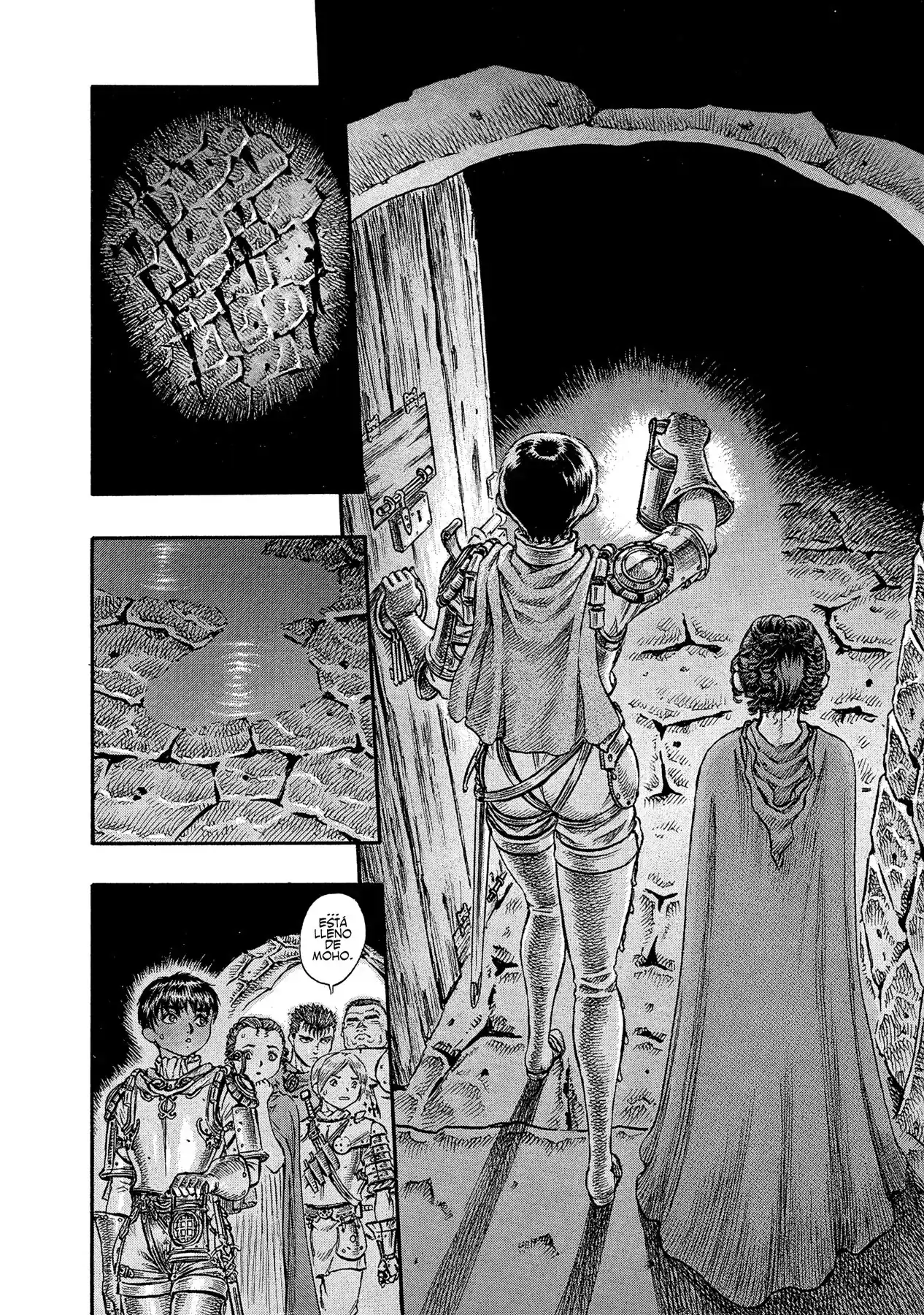 Página 17 — Berserk Capítulo 53