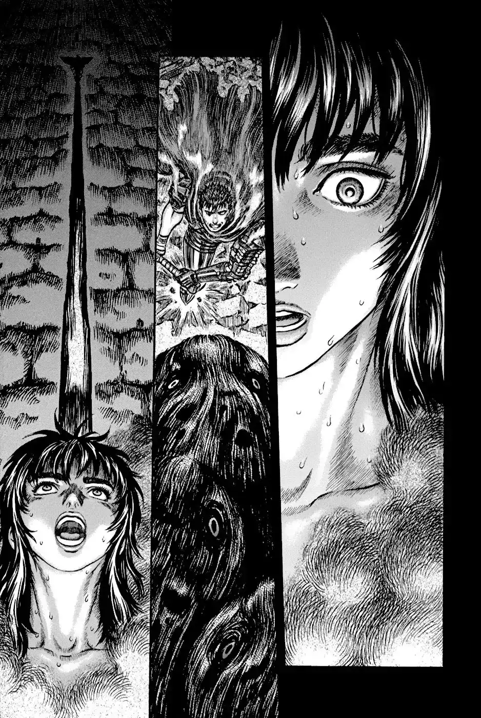 Página 17 — Berserk Capítulo 166