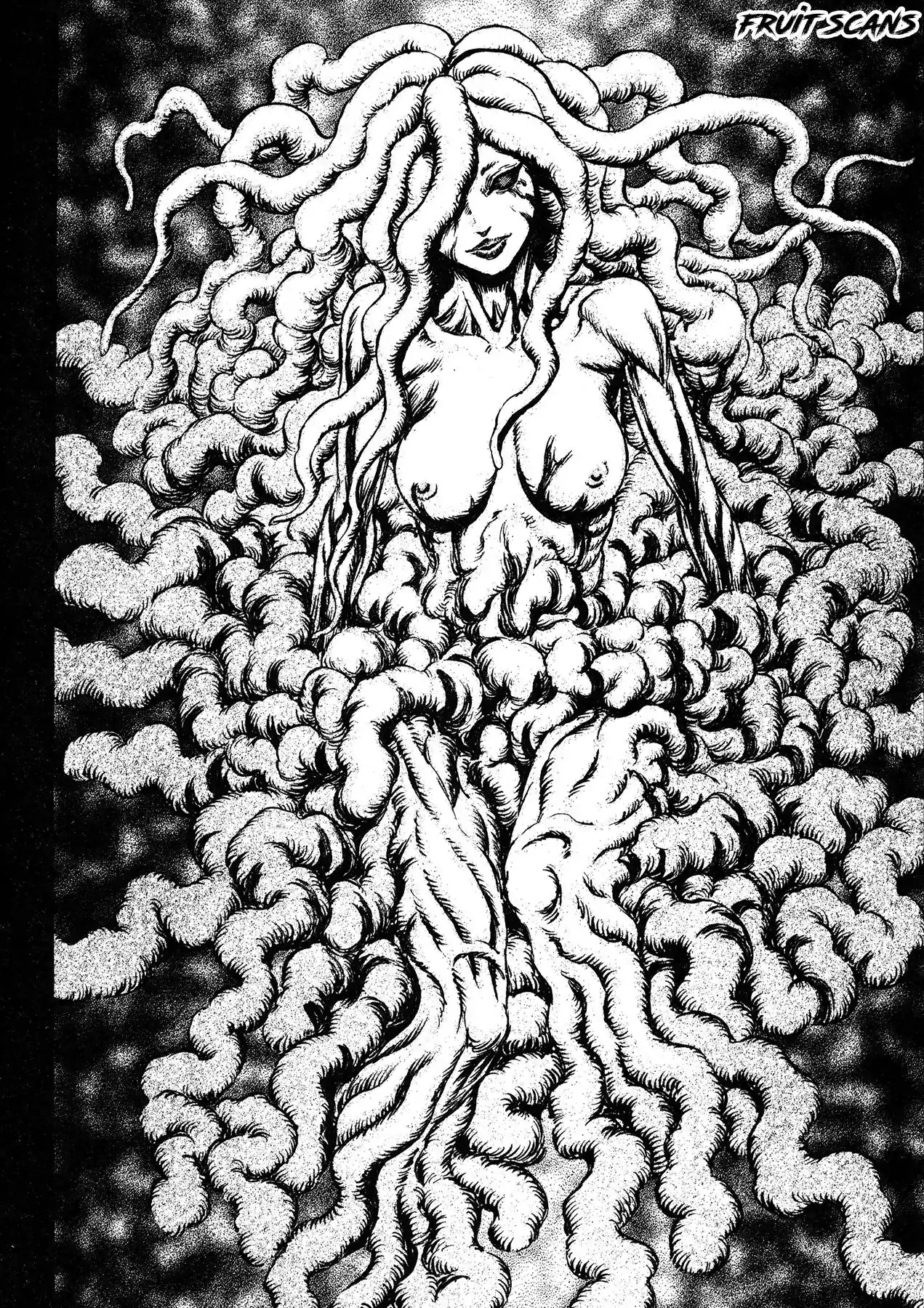 Página 12 — Berserk Capítulo 219
