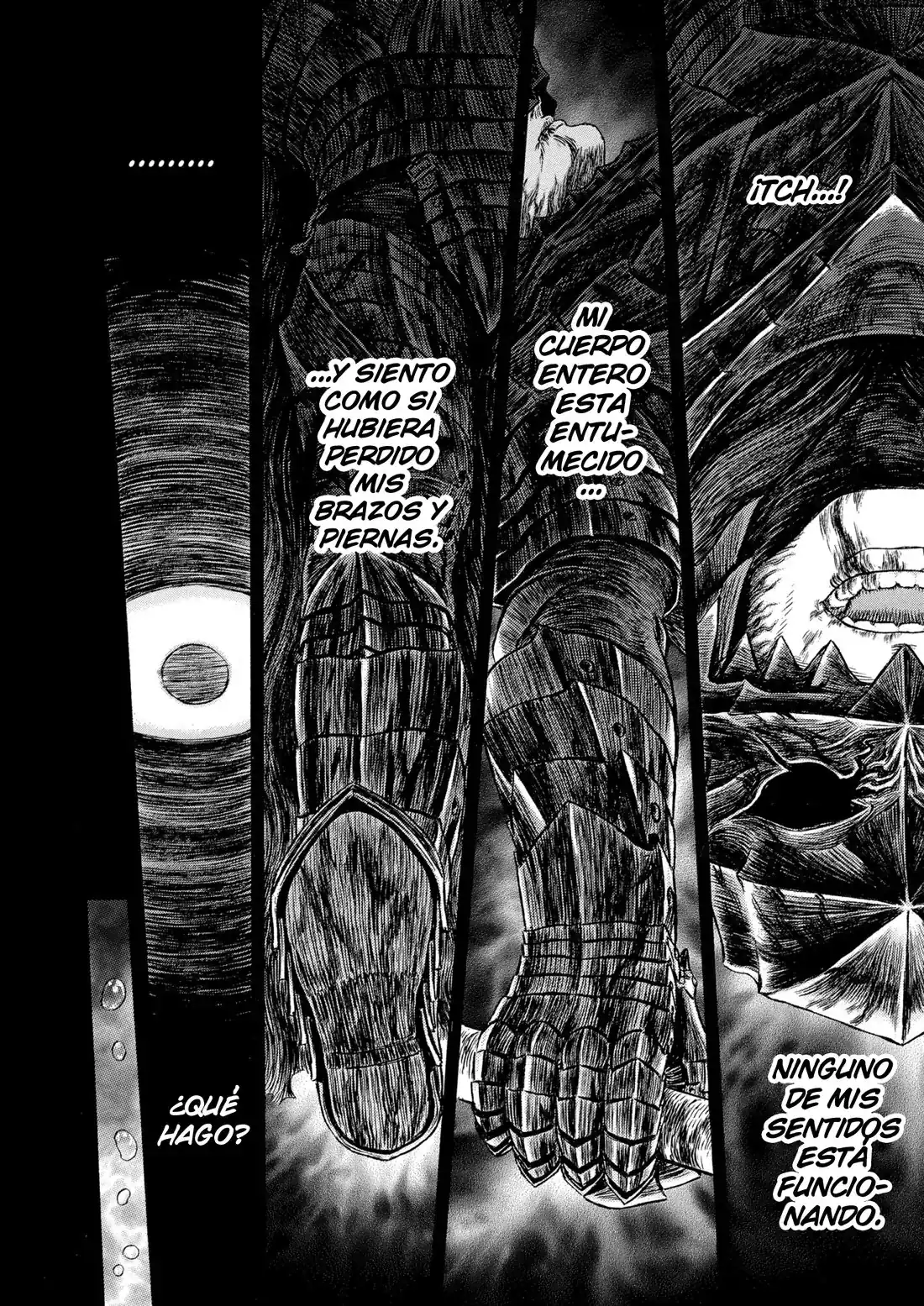 Página 25 — Berserk Capítulo 325