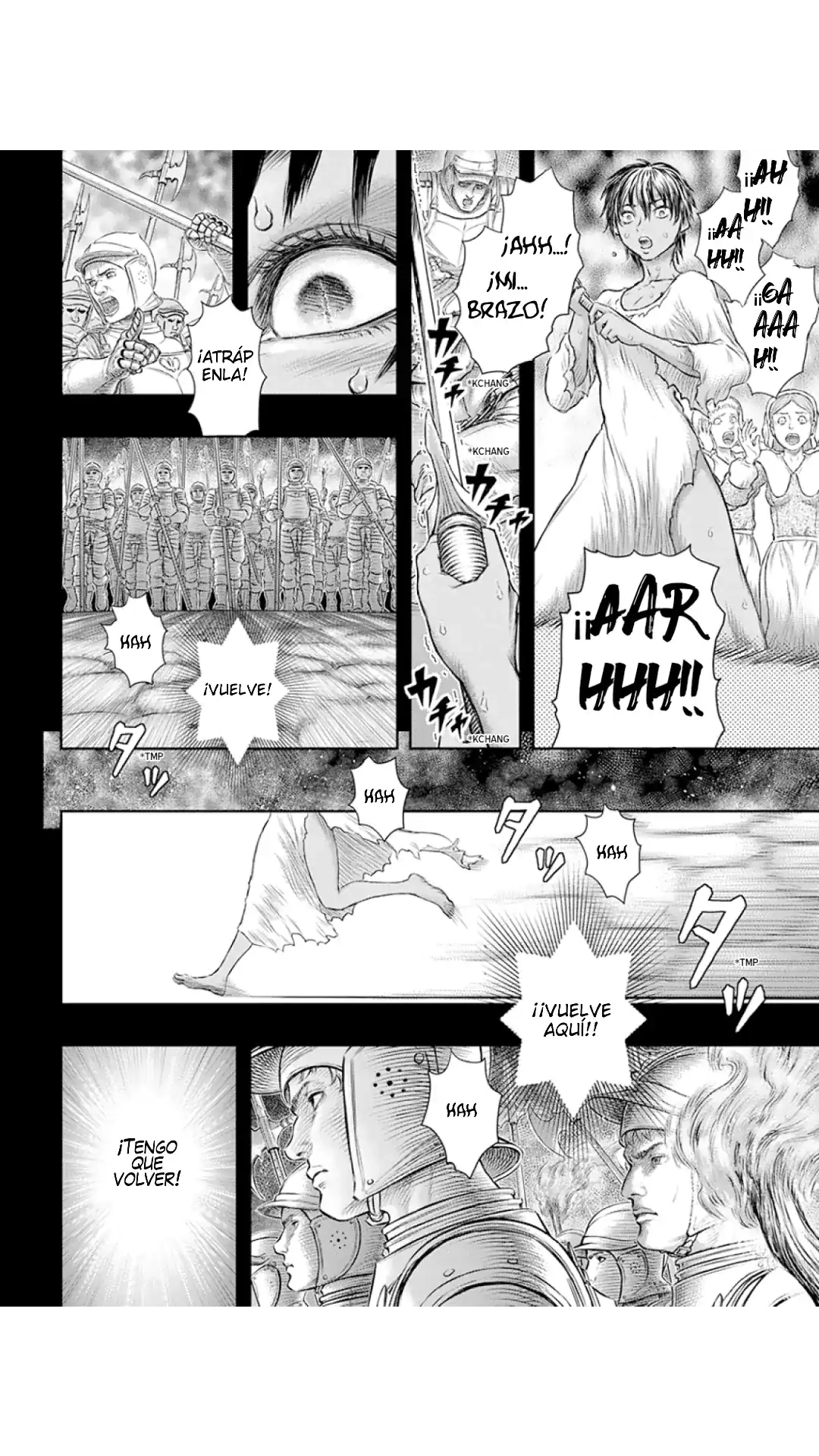 Página 17 — Berserk Capítulo 372