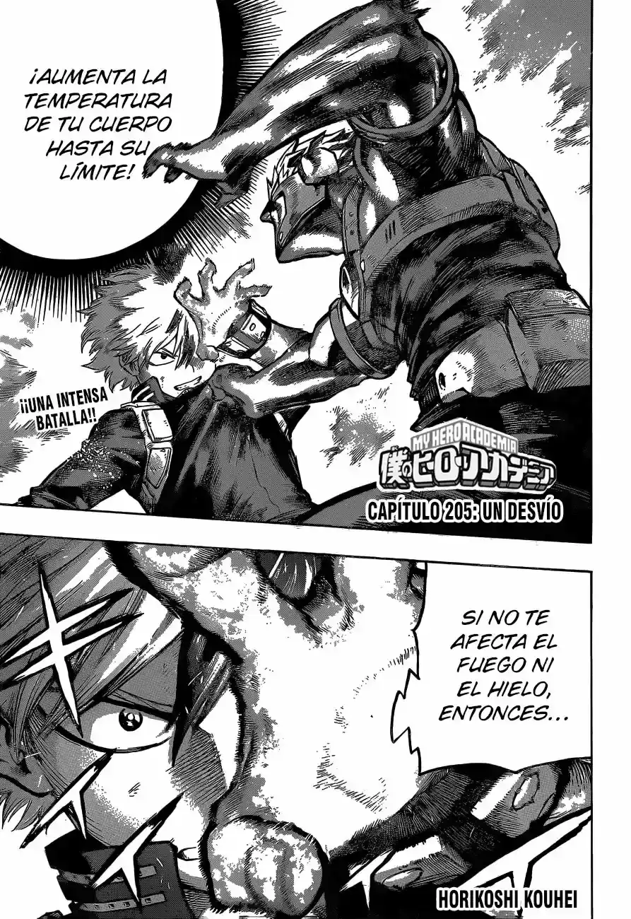 Página 18 — Boku no Hero Academia Capítulo 205