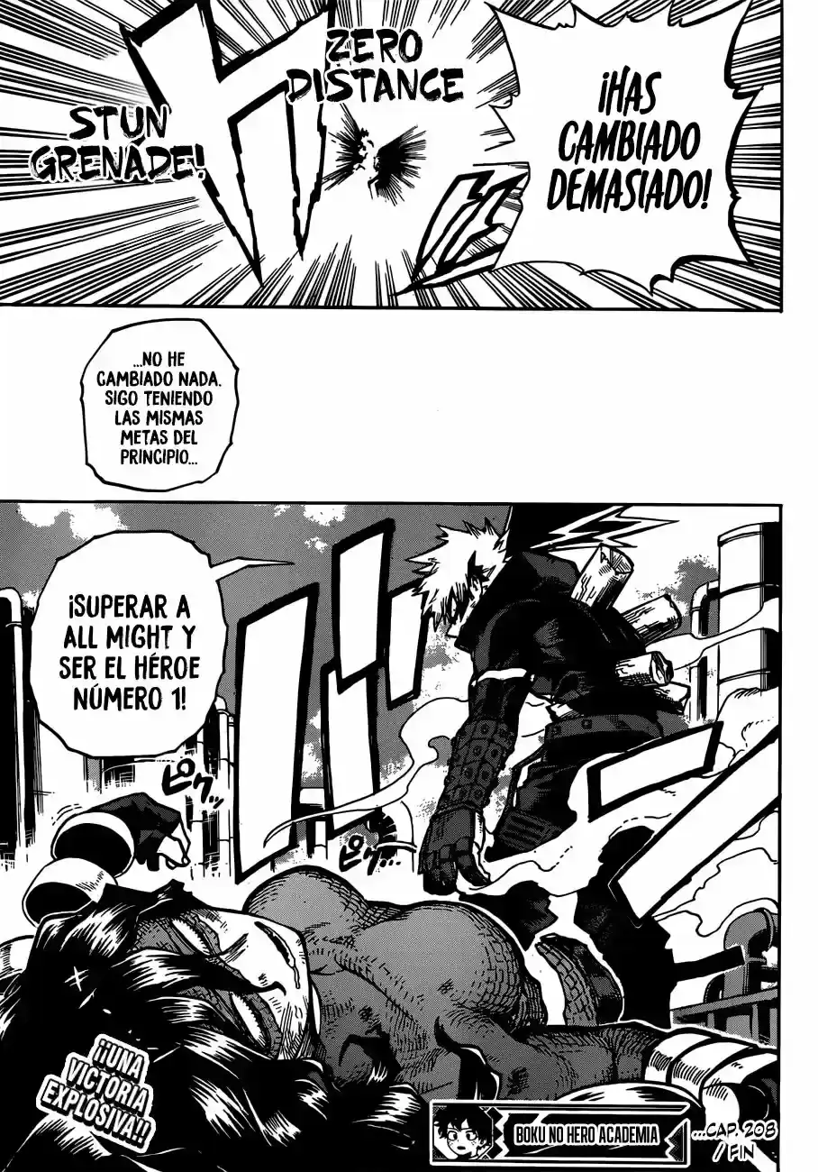 Página 14 — Boku no Hero Academia Capítulo 208