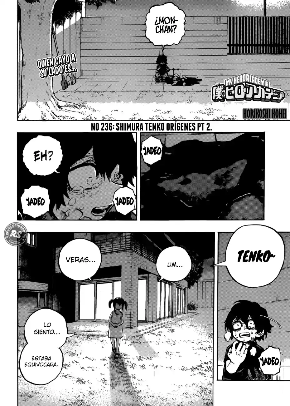 Página 17 — Boku no Hero Academia Capítulo 236