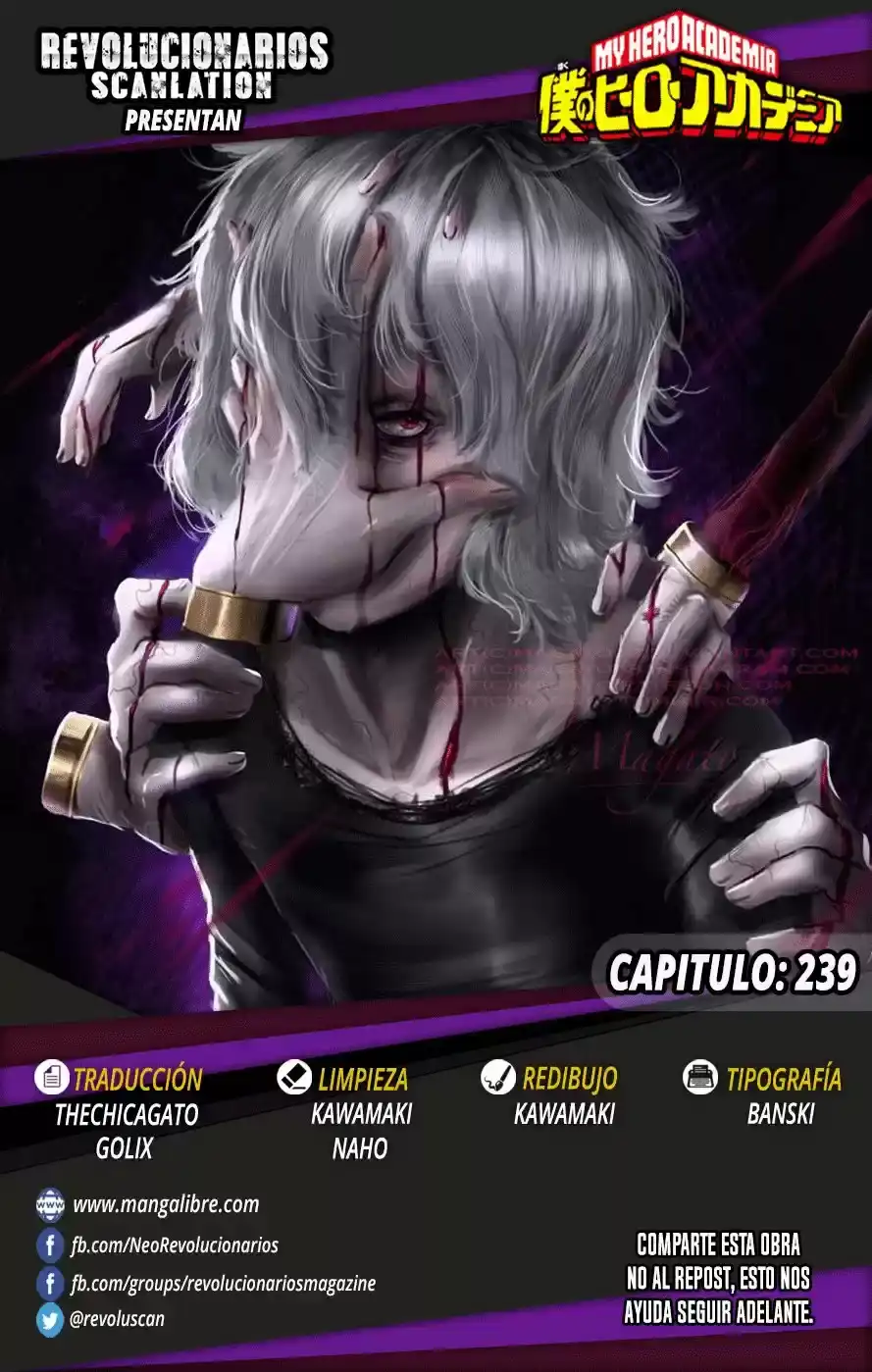 Página 17 — Boku no Hero Academia Capítulo 239