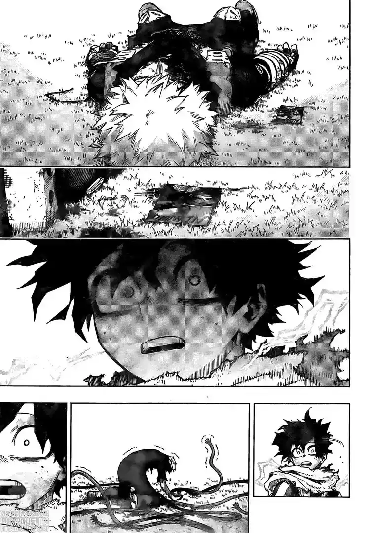 Página 24 — Boku no Hero Academia Capítulo 367