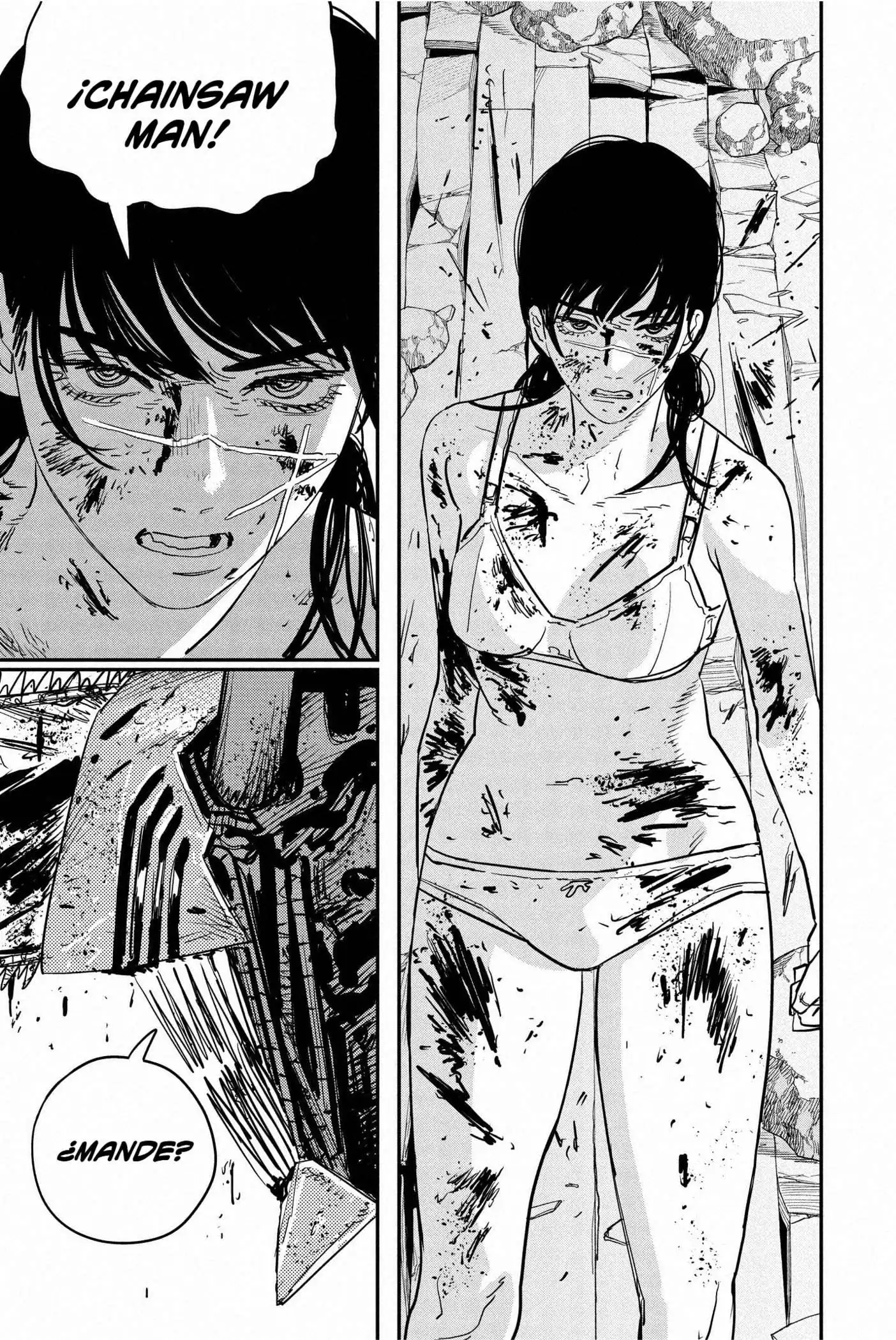 Página 17 — Chainsaw Man Capítulo 109