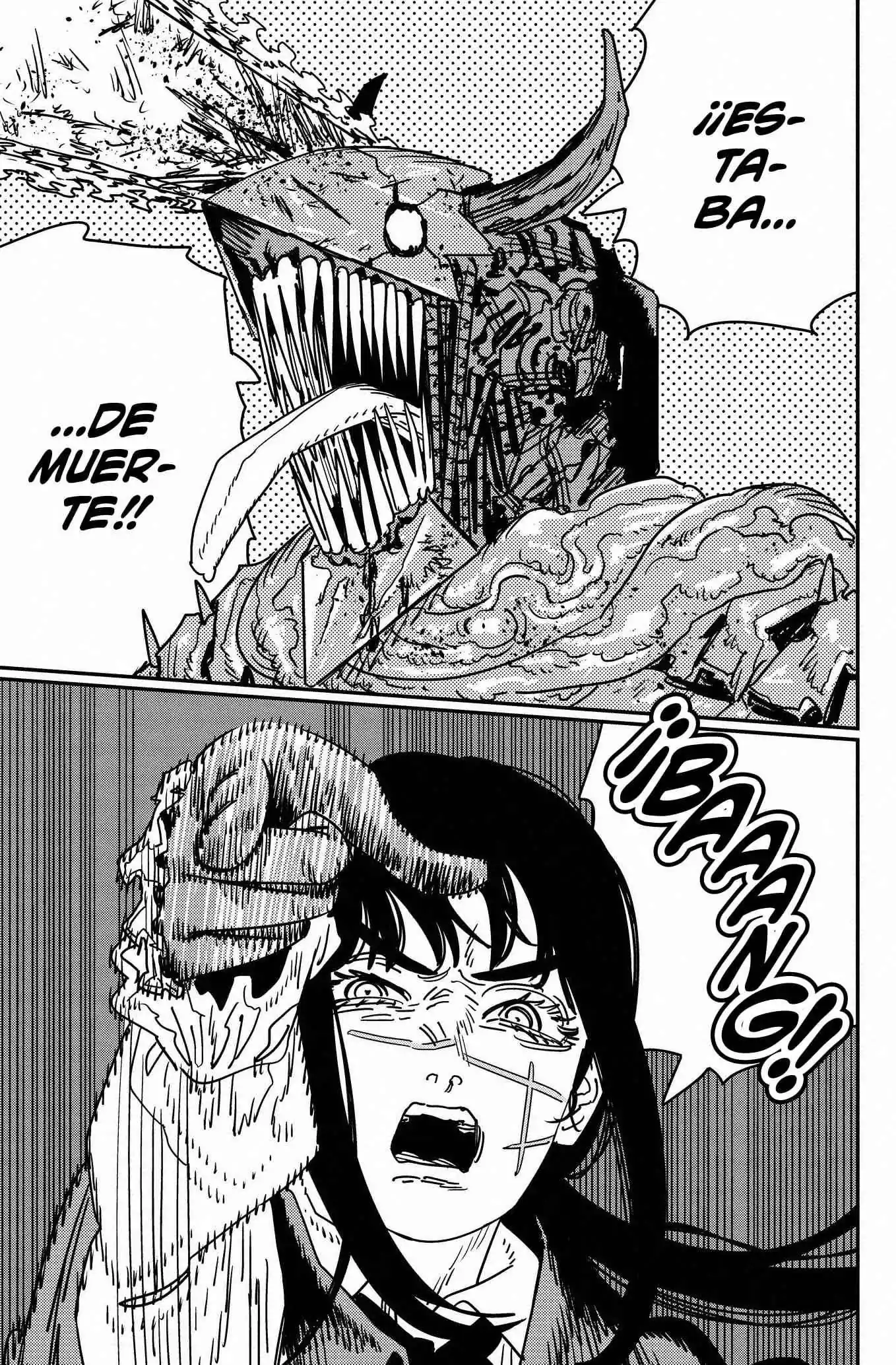 Página 13 — Chainsaw Man Capítulo 223