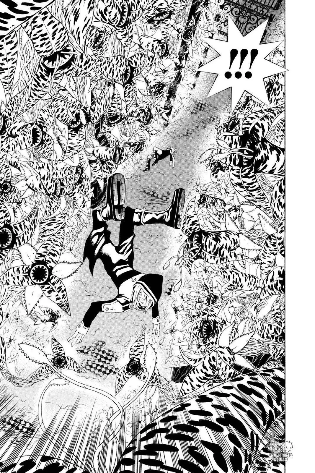 Página 13 — D.Gray-man Capítulo 33