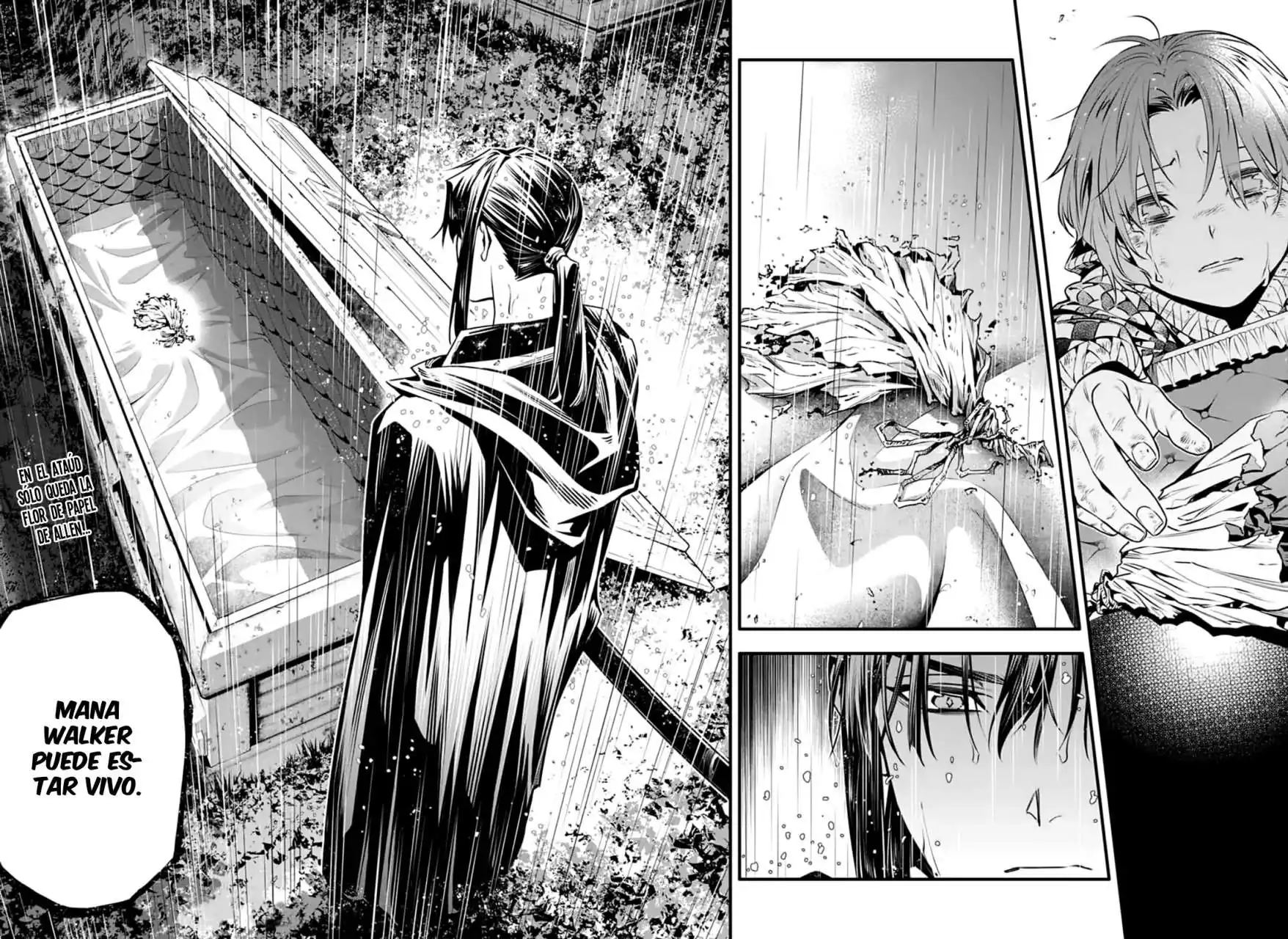 Página 17 — D.Gray-man Capítulo 250