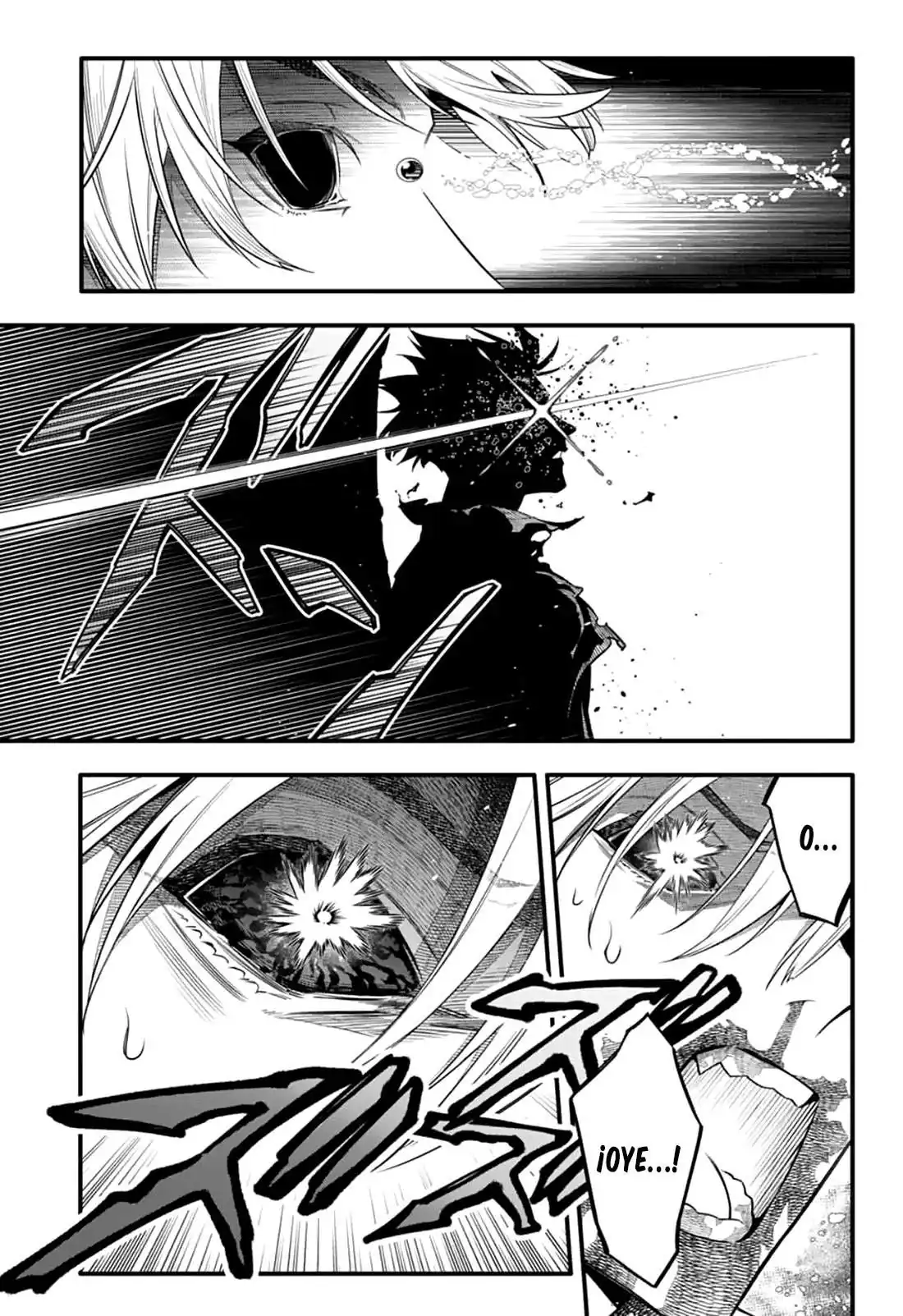Página 17 — D.Gray-man Capítulo 257