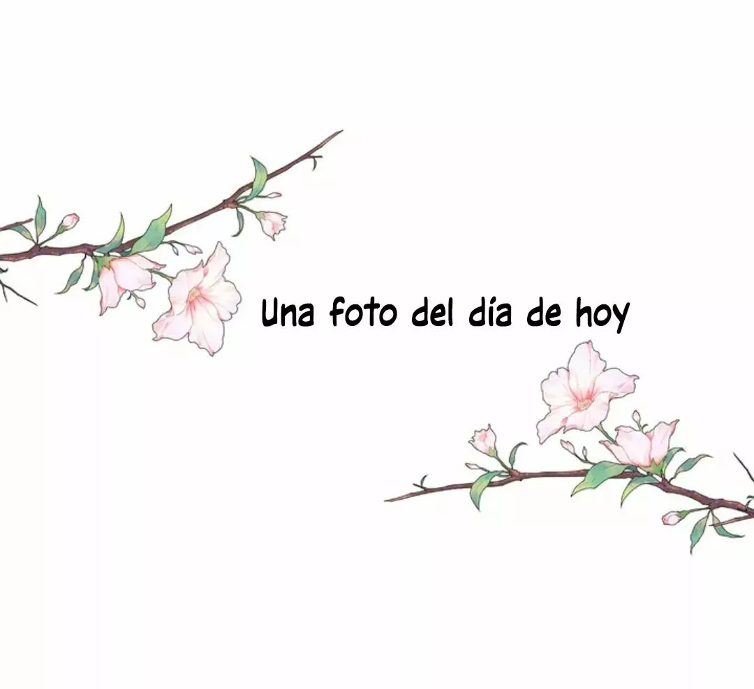 Página 45 — ¡Ese es mi Hijo! Capítulo 56