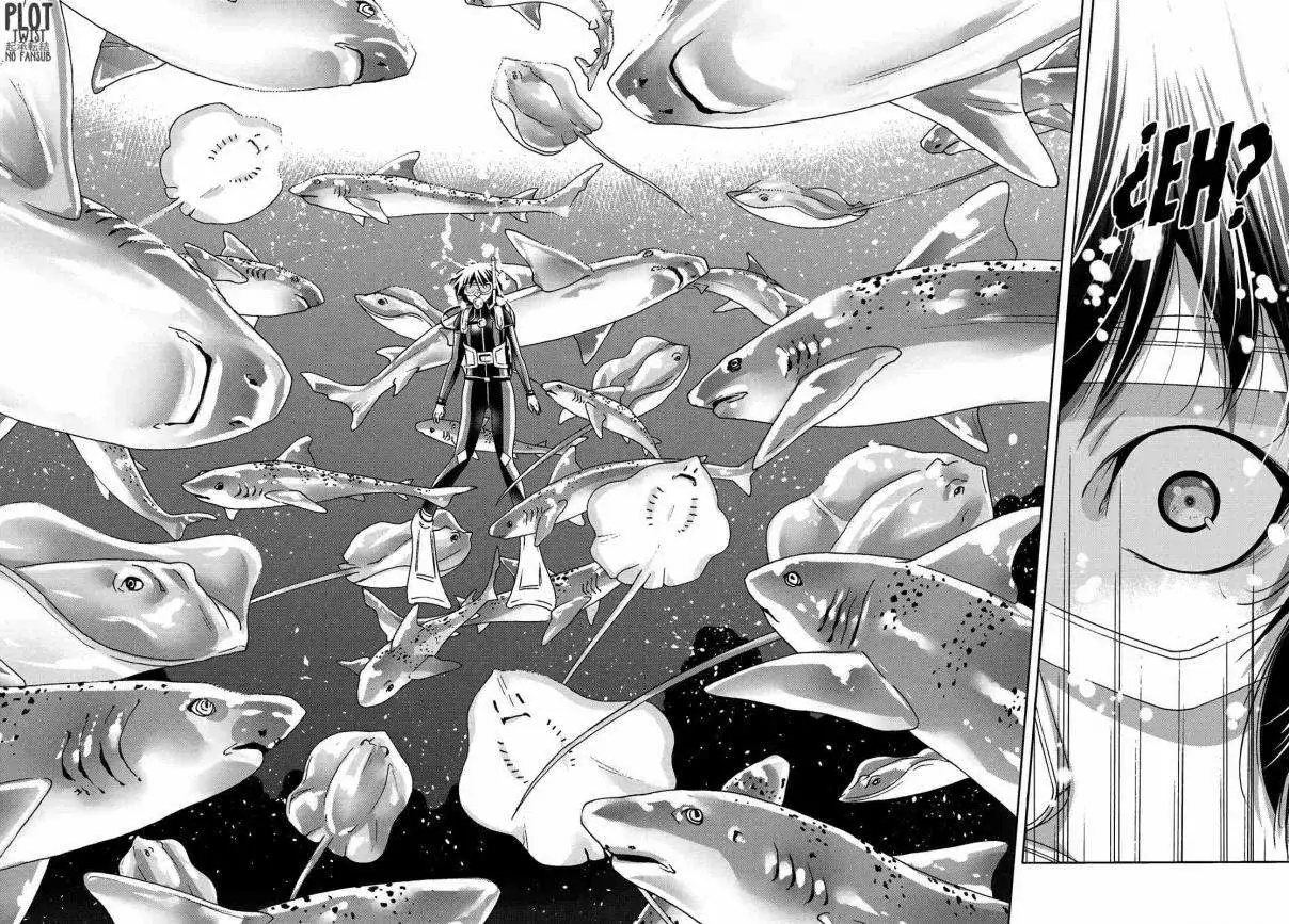 Página 24 — Grand Blue Capítulo 81