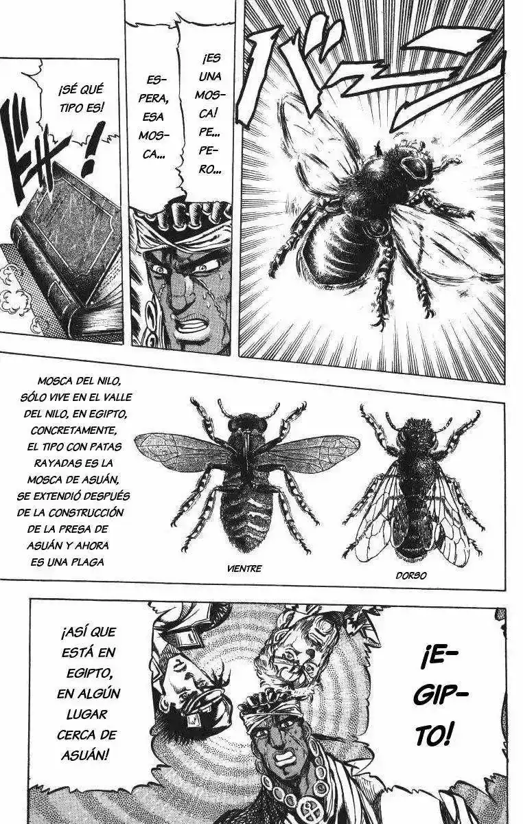 Página 17 — JoJo's Bizarre Adventure - Parte 3: Stardust Crusaders Capítulo 8