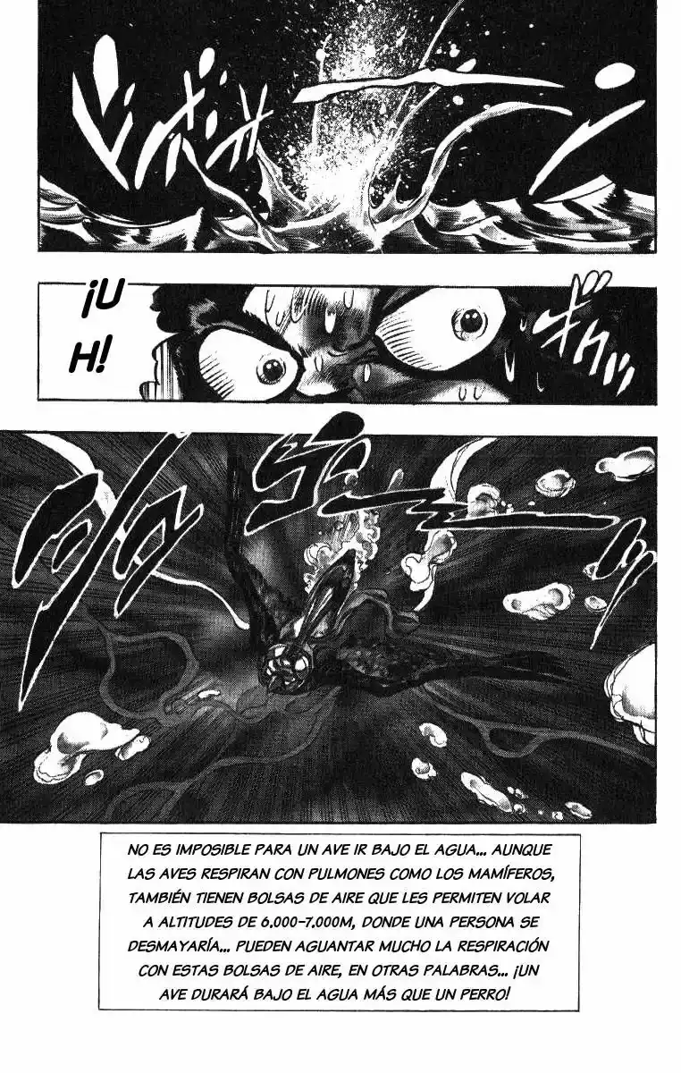 Página 19 — JoJo's Bizarre Adventure - Parte 3: Stardust Crusaders Capítulo 112