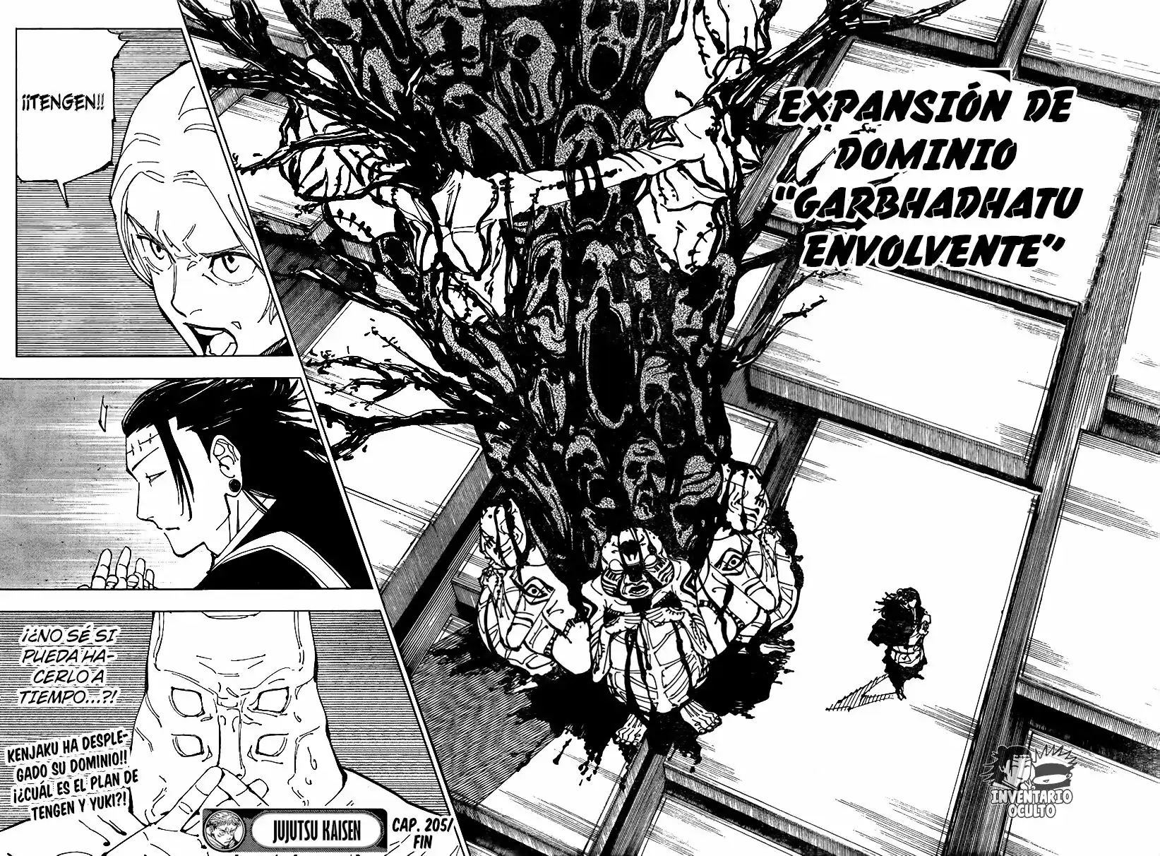 Página 17 — Jujutsu Kaisen Capítulo 205