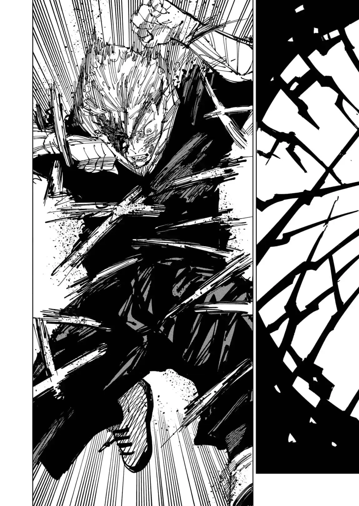 Página 14 — Jujutsu Kaisen Capítulo 258