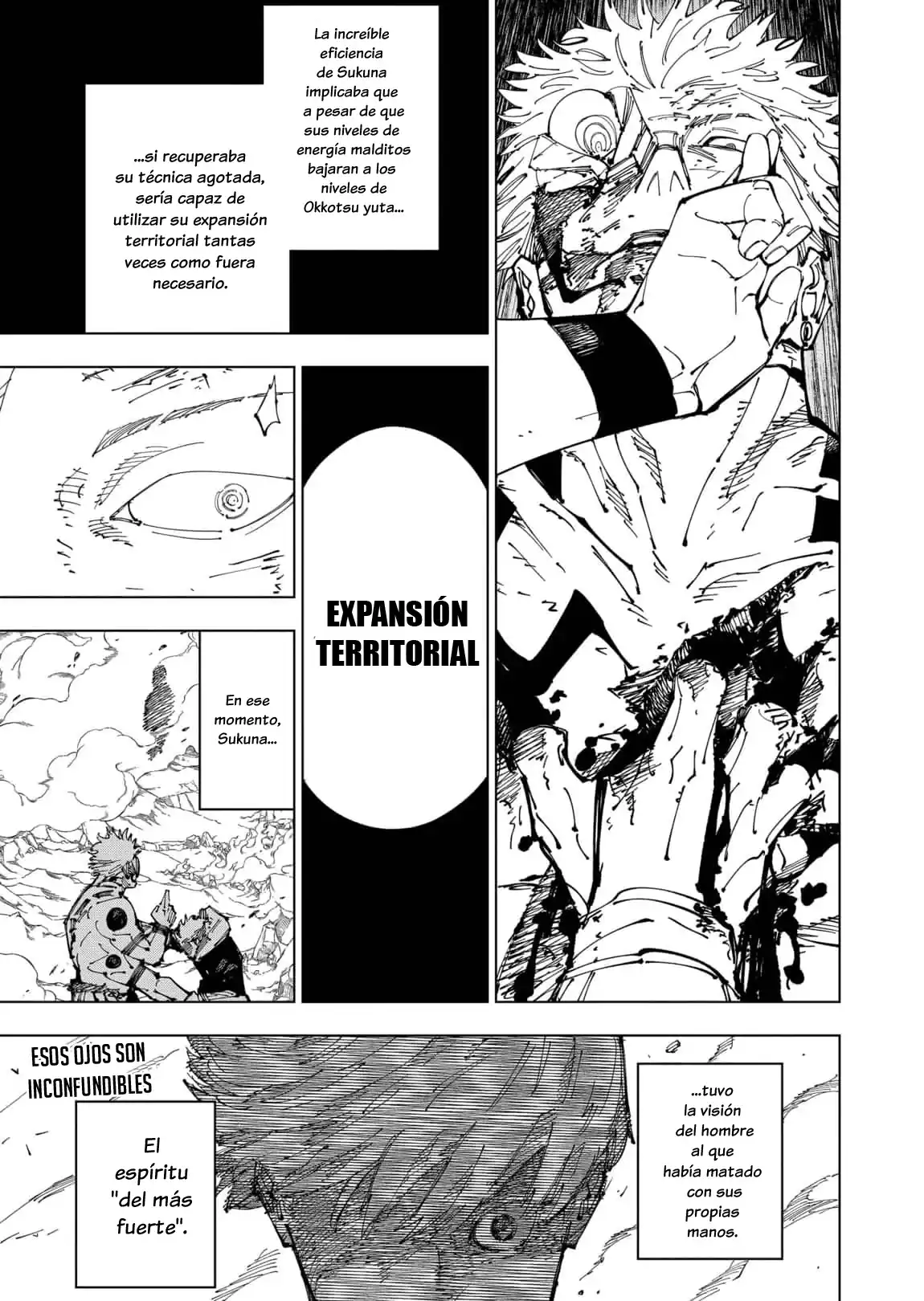 Página 19 — Jujutsu Kaisen Capítulo 260