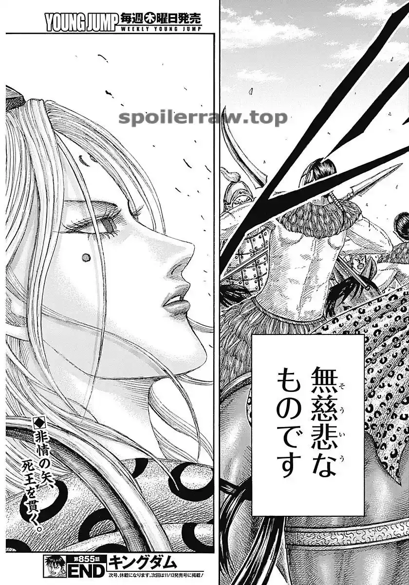 Página 19 — Kingdom Capítulo 855