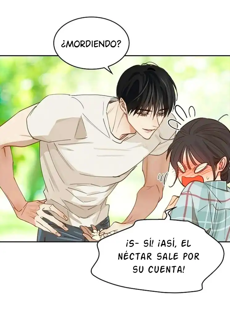 Página 15 — Las Flores son un Engaño Capítulo 19