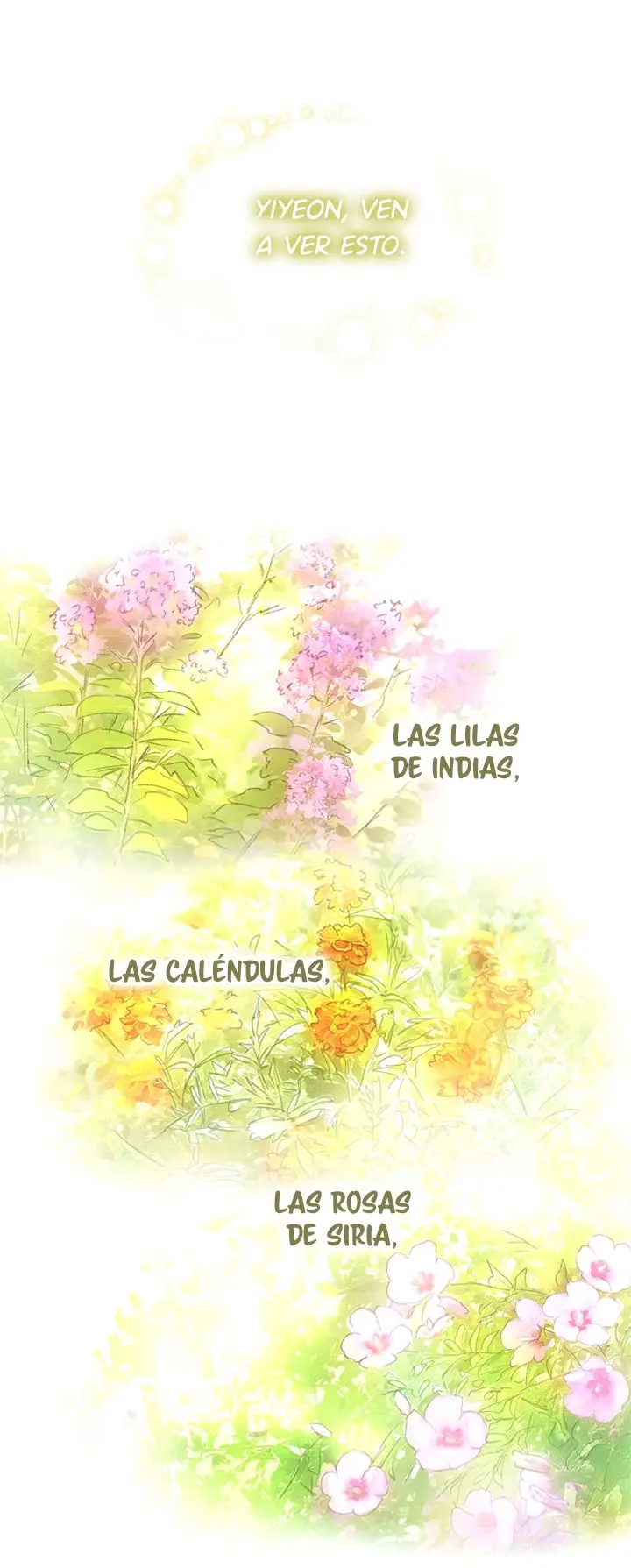 Página 11 — Las Flores son un Engaño Capítulo 37