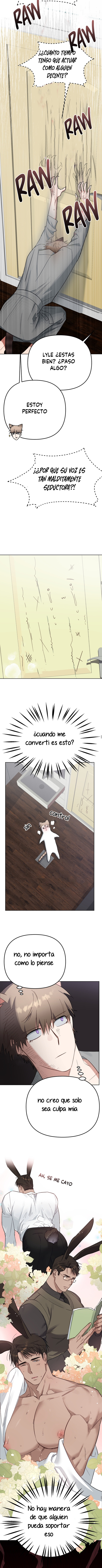 Página 6 — Los conejos pueden correrse en 3 segundos Capítulo 10