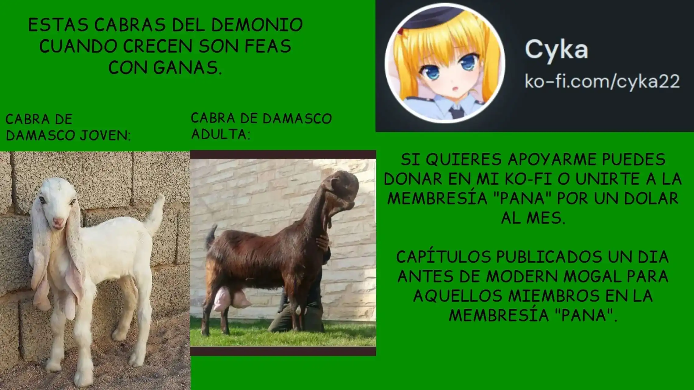 Página 3 — Modern mogal Capítulo 207