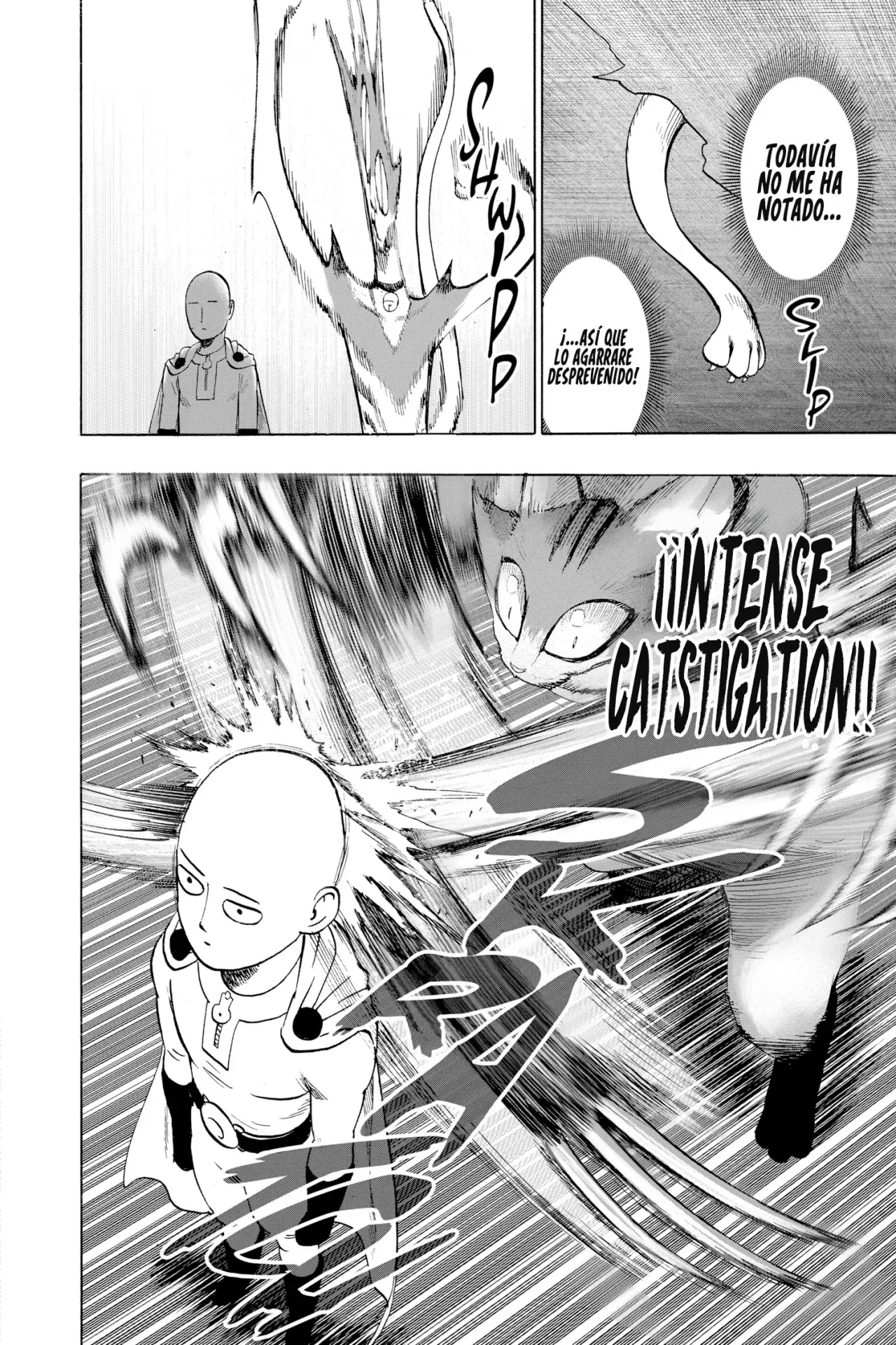 Página 48 — ONE PUNCH-MAN Capítulo 113