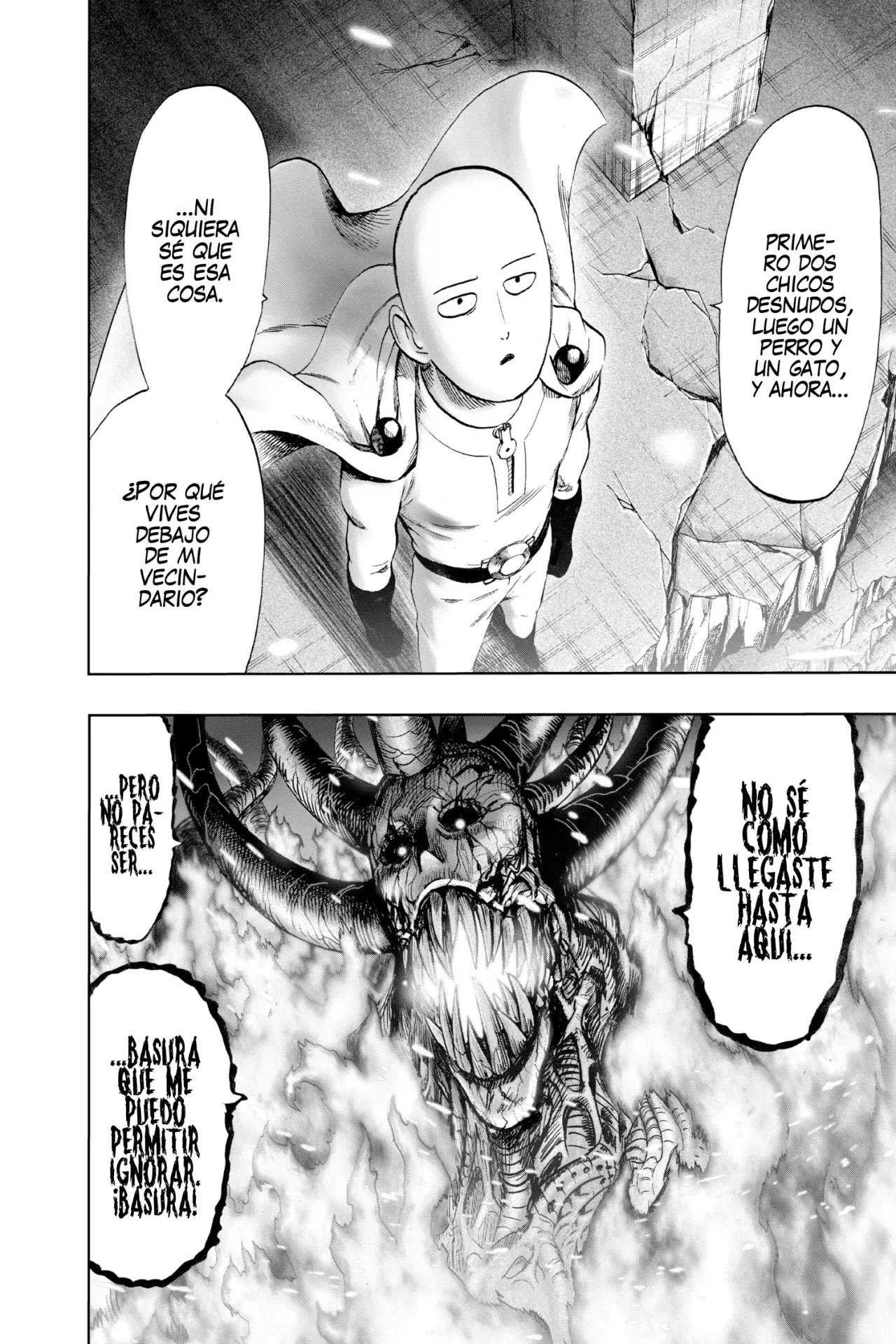 Página 22 — ONE PUNCH-MAN Capítulo 114