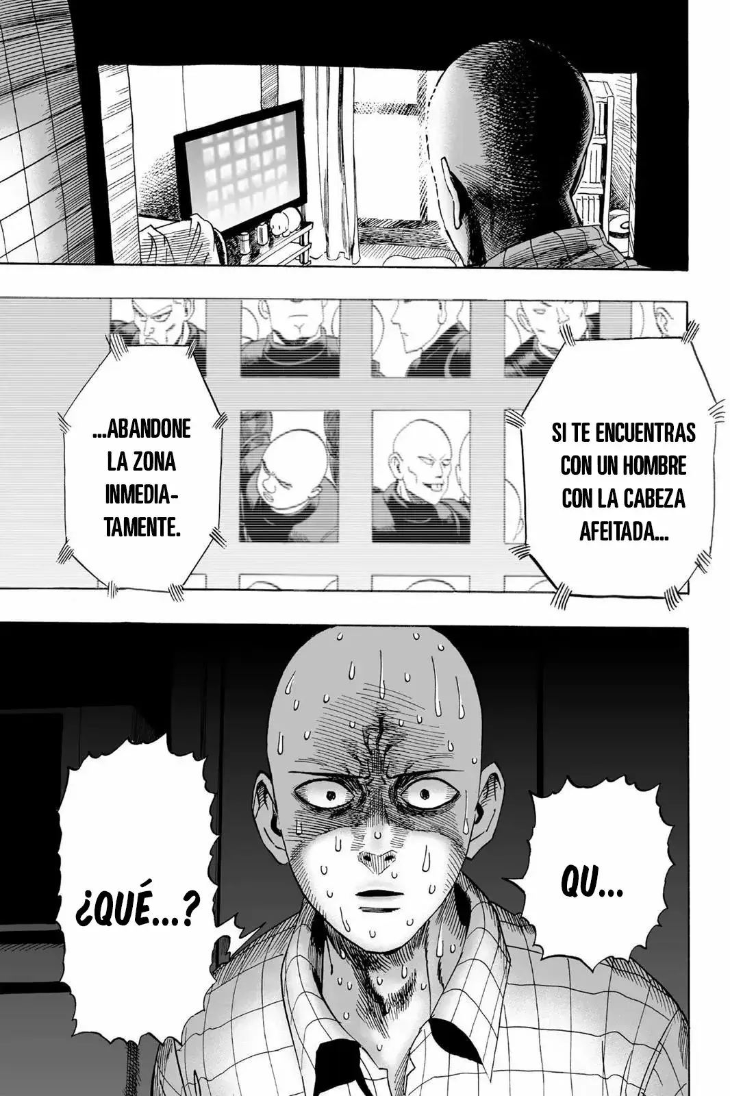 Página 14 — ONE PUNCH-MAN Capítulo 12