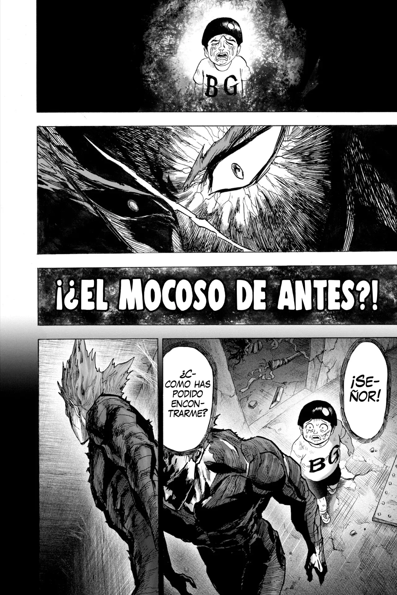 Página 14 — ONE PUNCH-MAN Capítulo 141