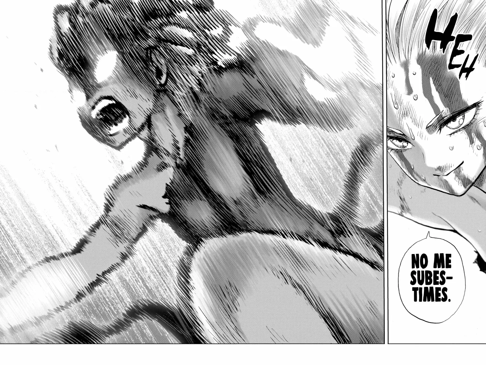 Página 25 — ONE PUNCH-MAN Capítulo 142