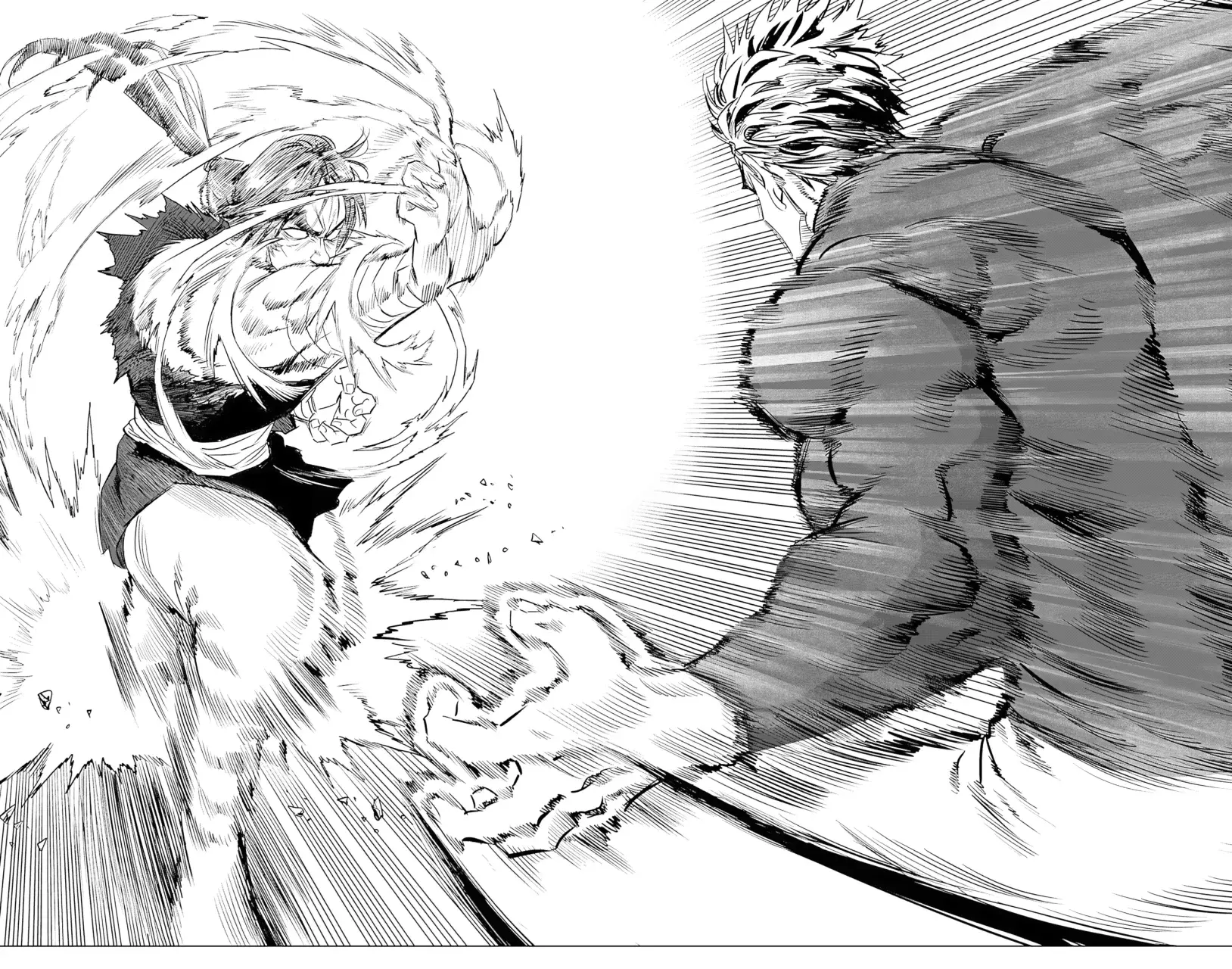 Página 15 — ONE PUNCH-MAN Capítulo 155