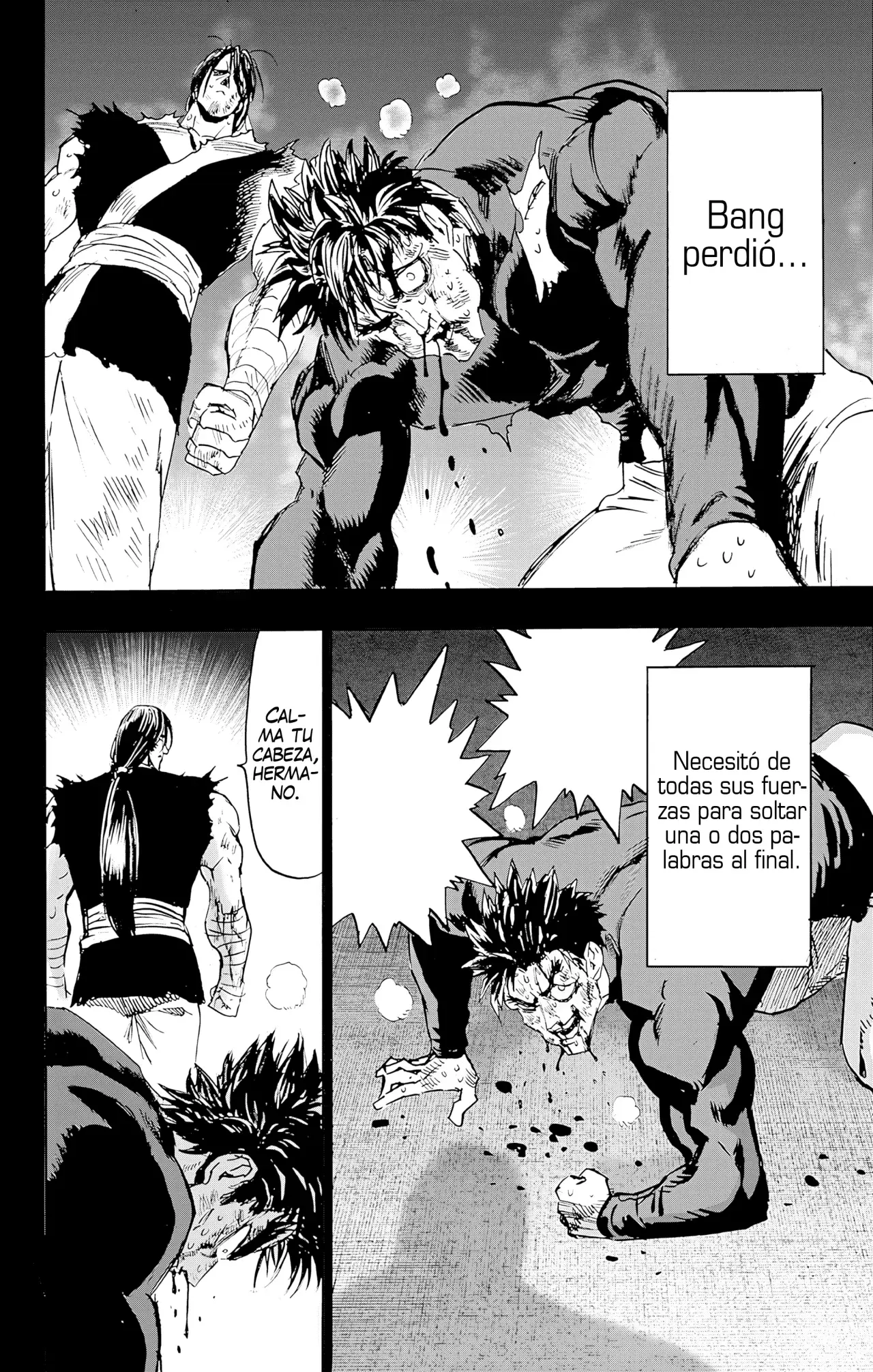 Página 16 — ONE PUNCH-MAN Capítulo 155