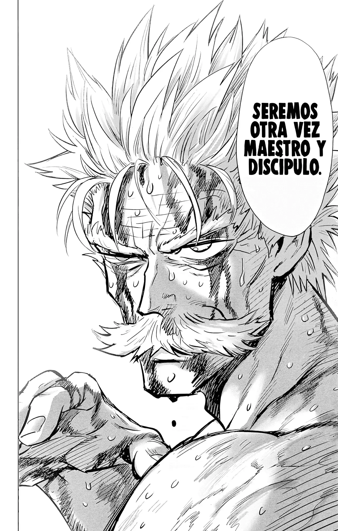 Página 30 — ONE PUNCH-MAN Capítulo 155