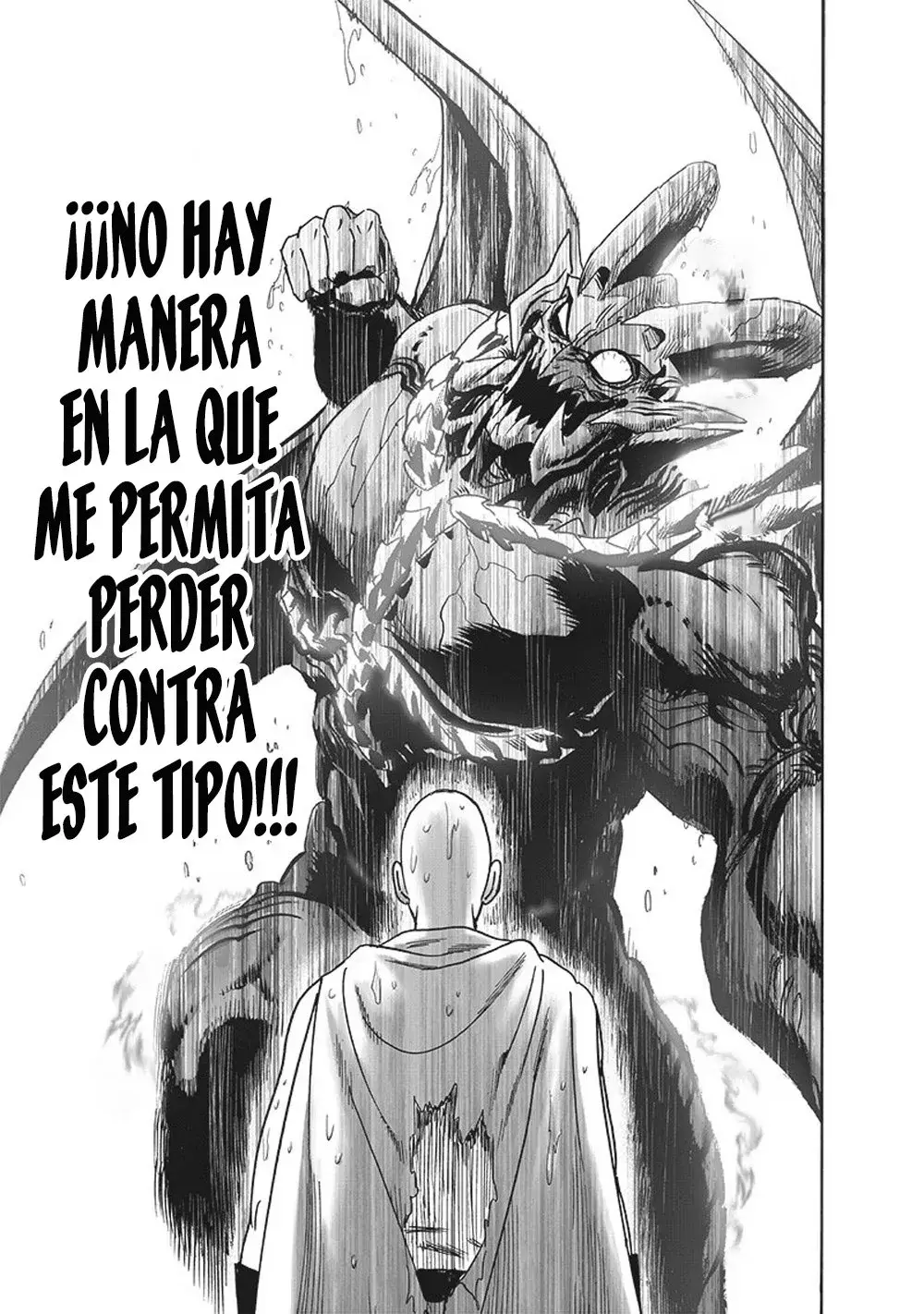 Página 27 — ONE PUNCH-MAN Capítulo 169