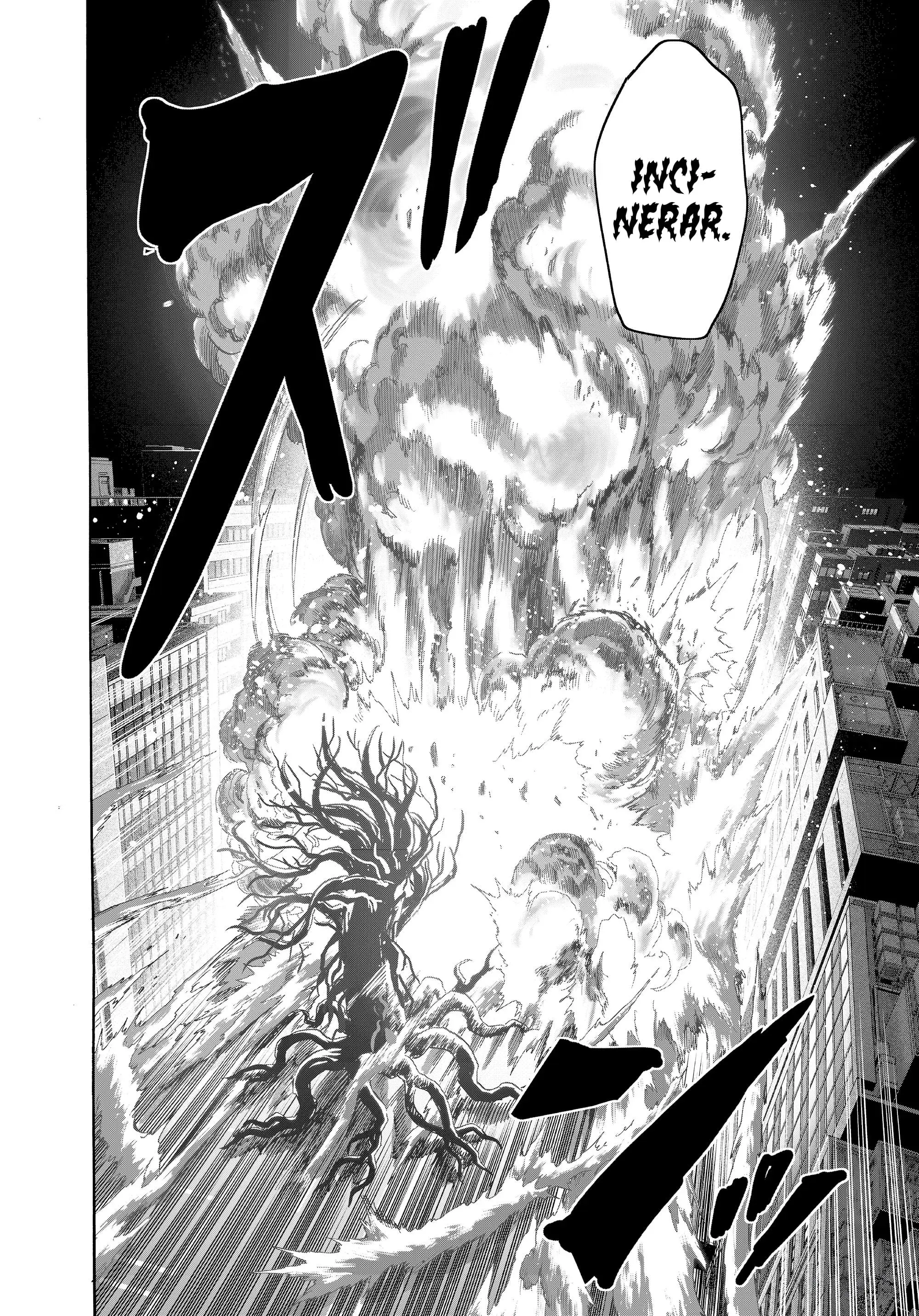 Página 26 — ONE PUNCH-MAN Capítulo 191