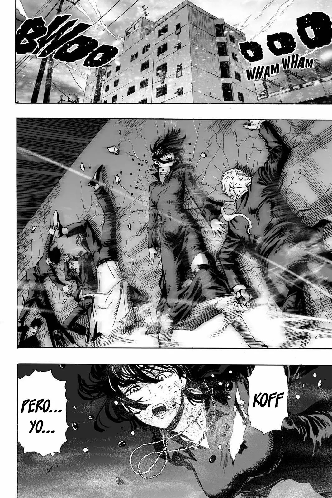 Página 15 — ONE PUNCH-MAN Capítulo 20.6