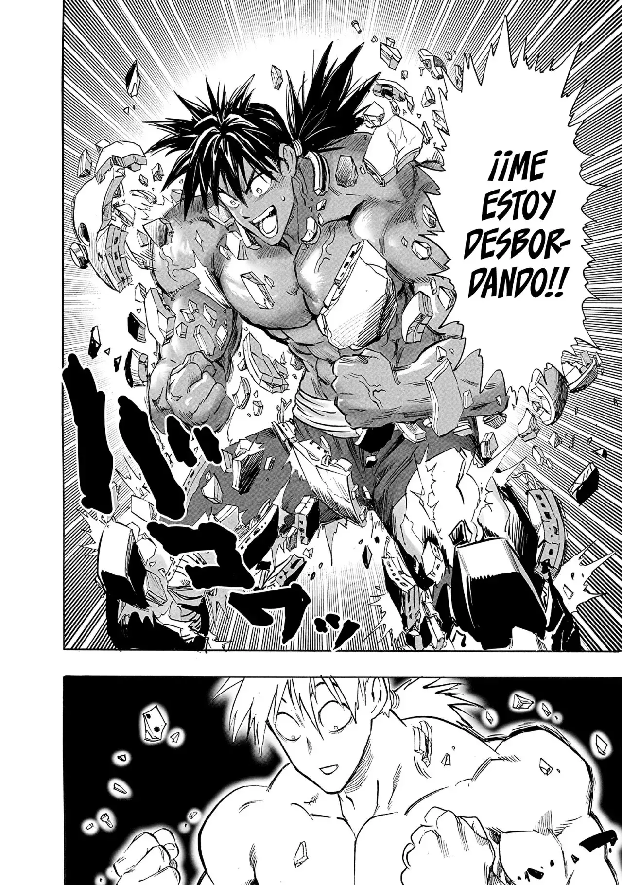 Página 15 — ONE PUNCH-MAN Capítulo 210