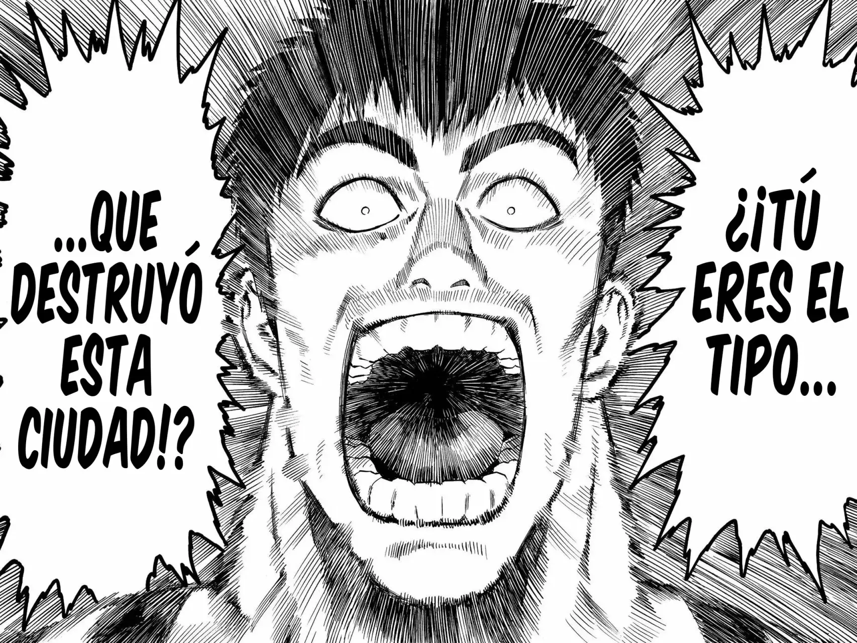 Página 17 — ONE PUNCH-MAN Capítulo 22
