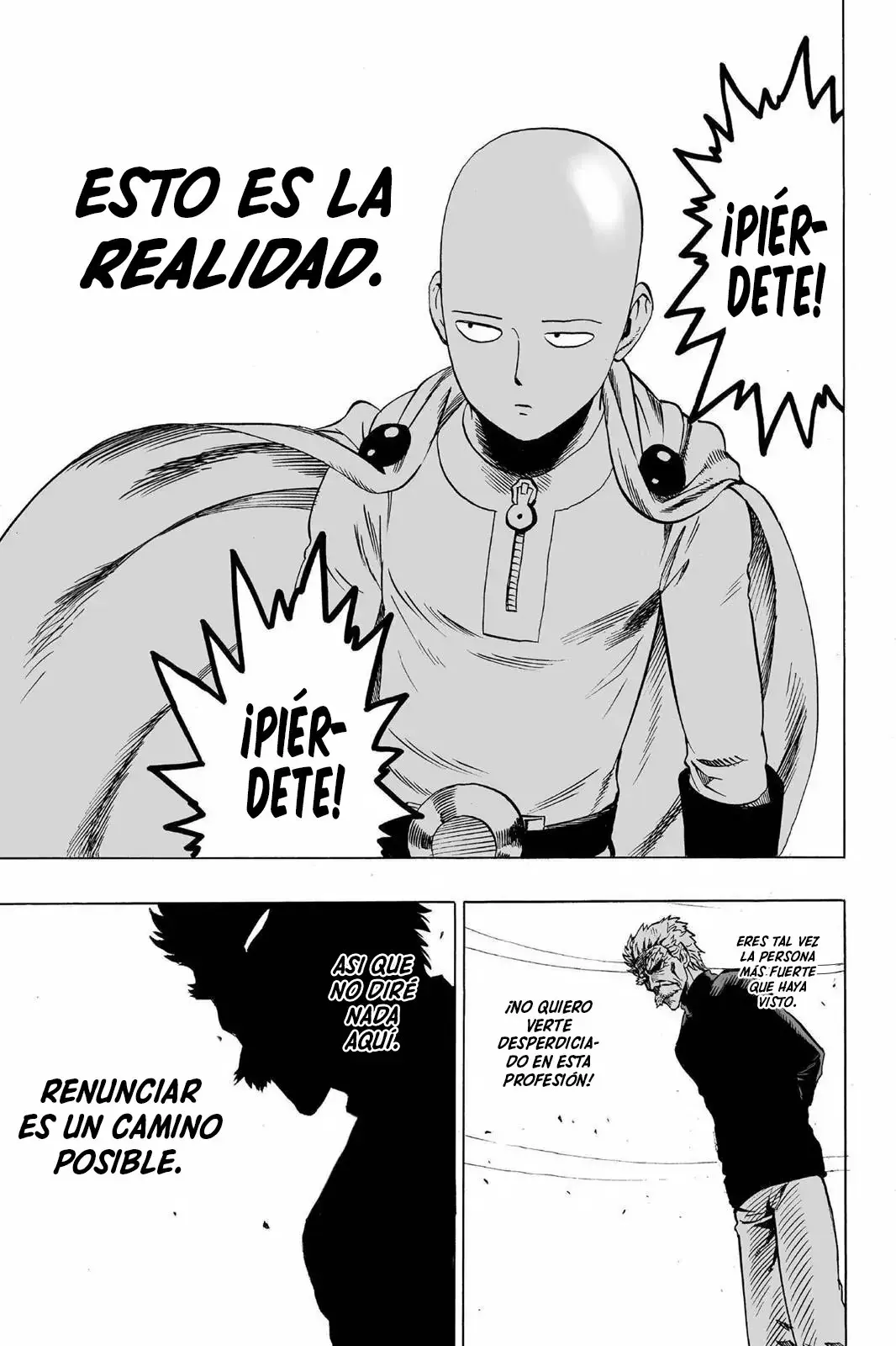 Página 27 — ONE PUNCH-MAN Capítulo 22