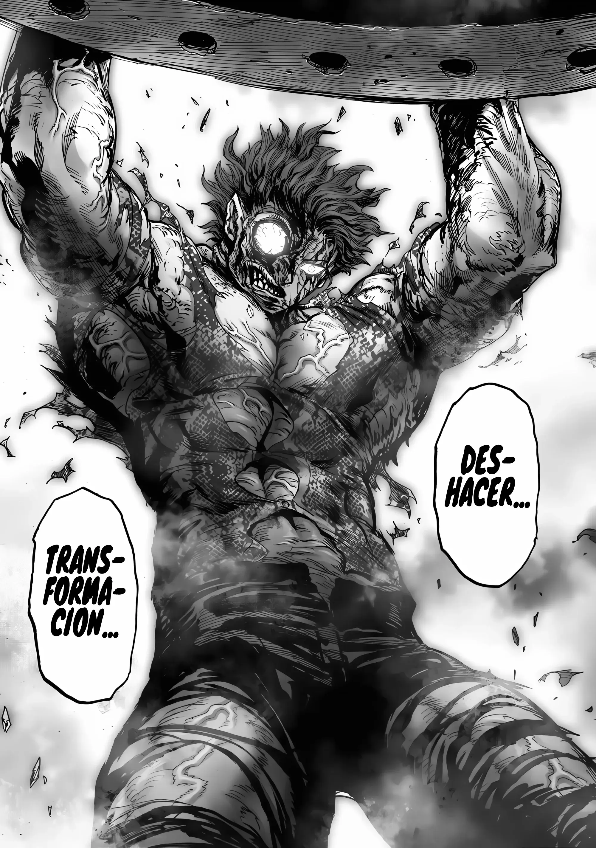 Página 24 — ONE PUNCH-MAN Capítulo 221