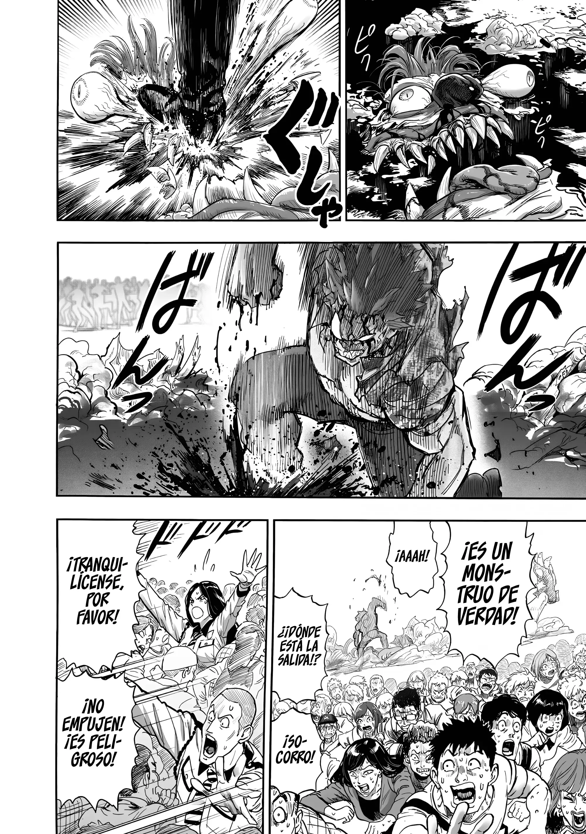 Página 17 — ONE PUNCH-MAN Capítulo 223