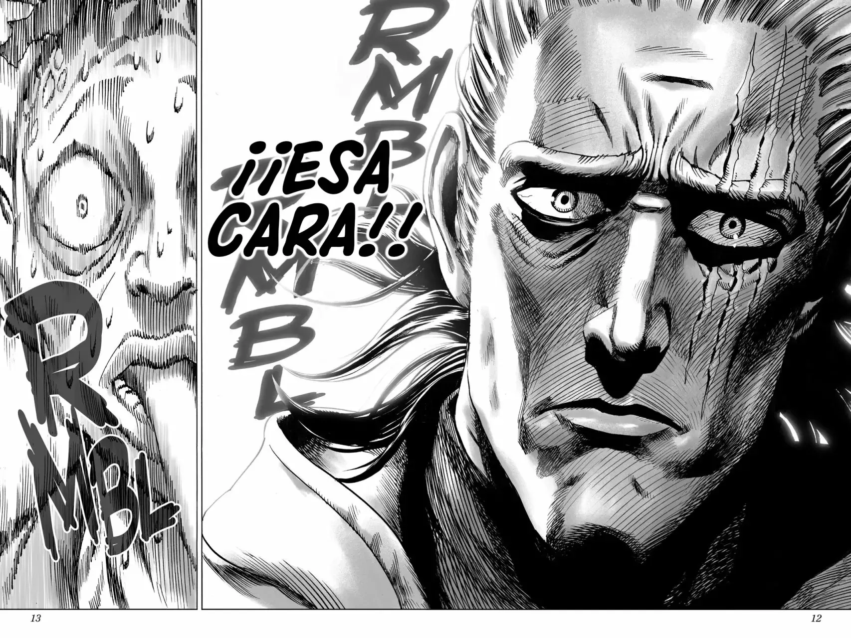 Página 12 — ONE PUNCH-MAN Capítulo 38