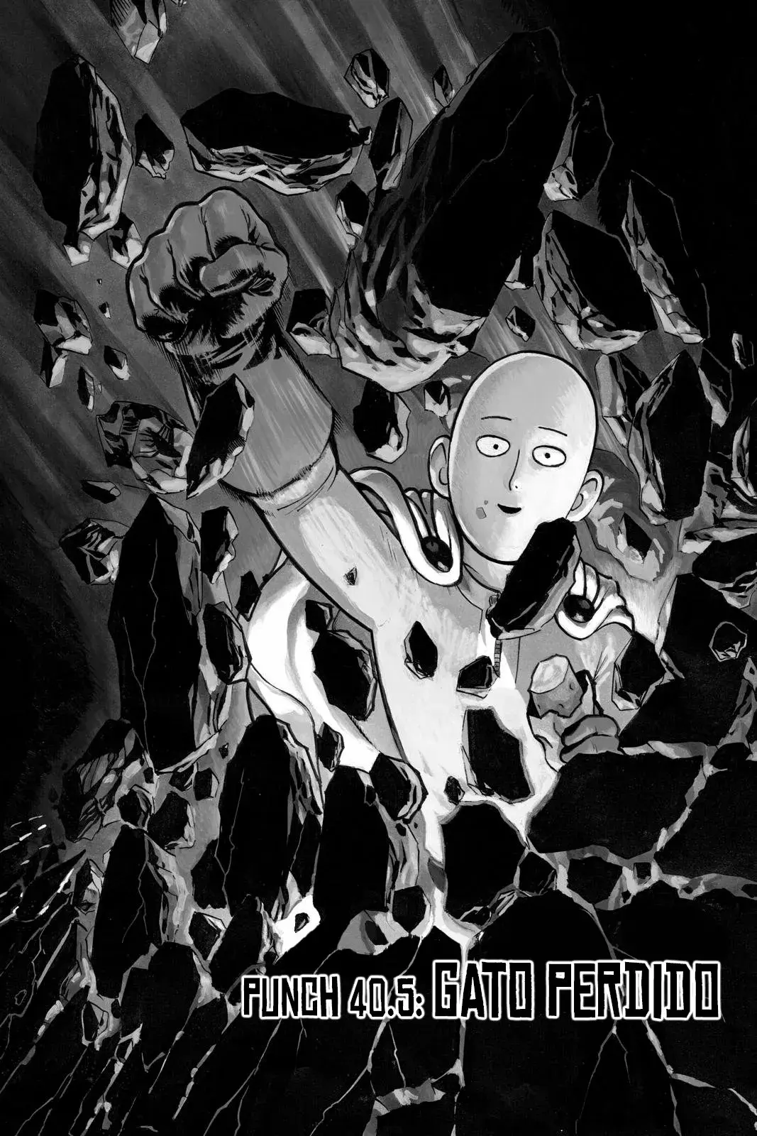 Página 2 — ONE PUNCH-MAN Capítulo 40.5